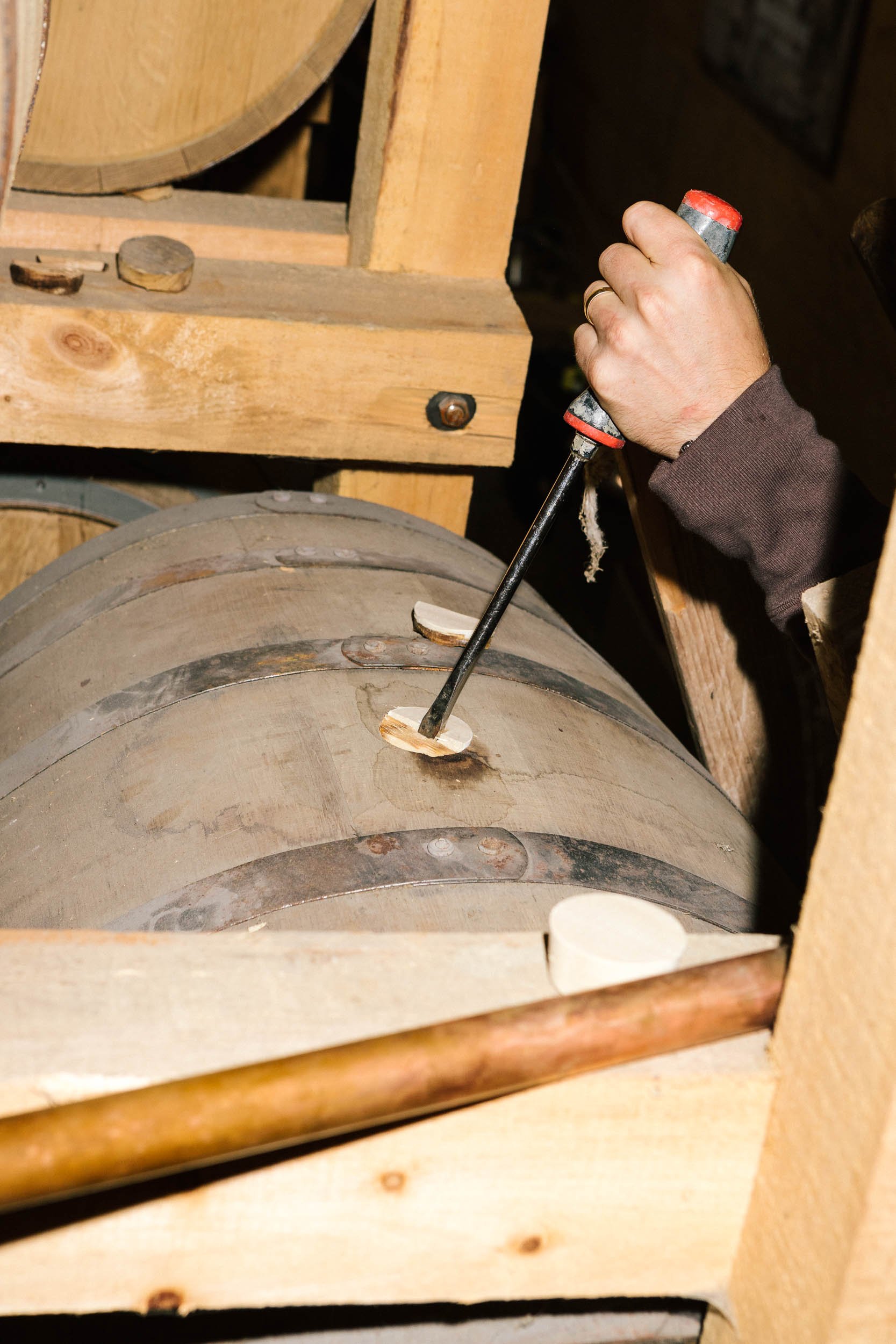 AaronWynia_AW 09-15-23-8689_Willibald.jpg