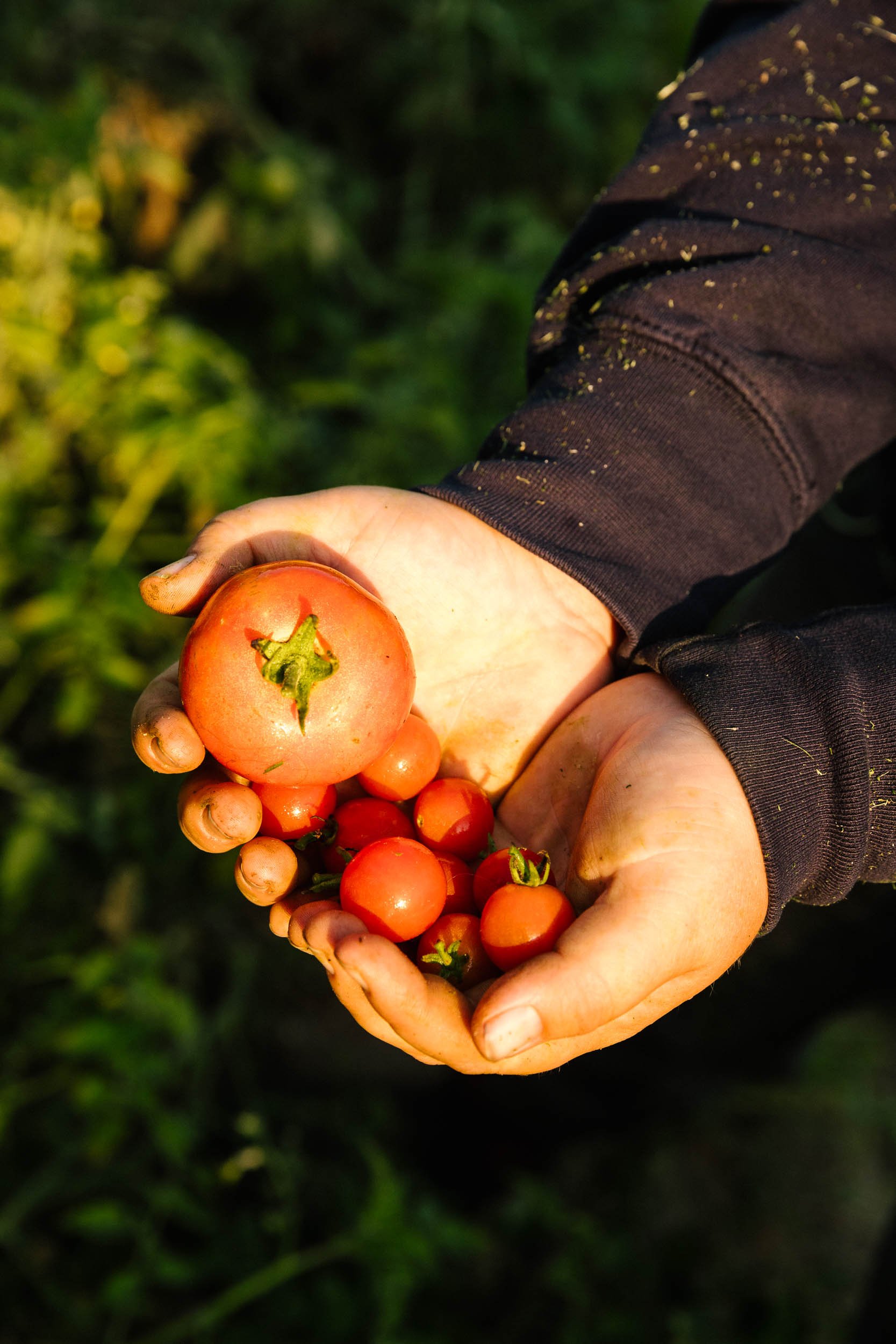 AaronWynia_AW 09-25-24-0289_MutualFriends.jpg