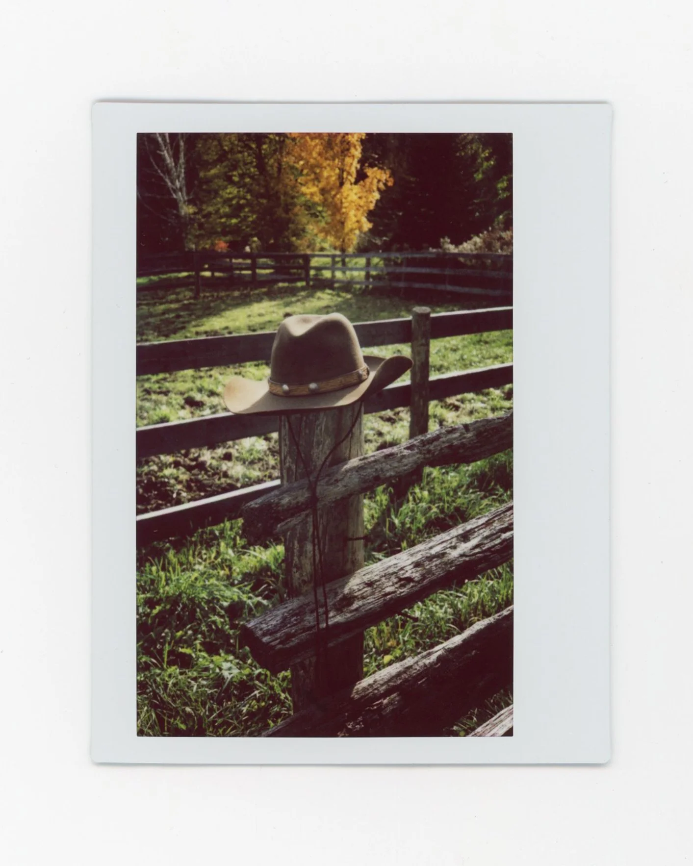 LouisaNicolaou_pola_hat_SlowRodeo.jpg