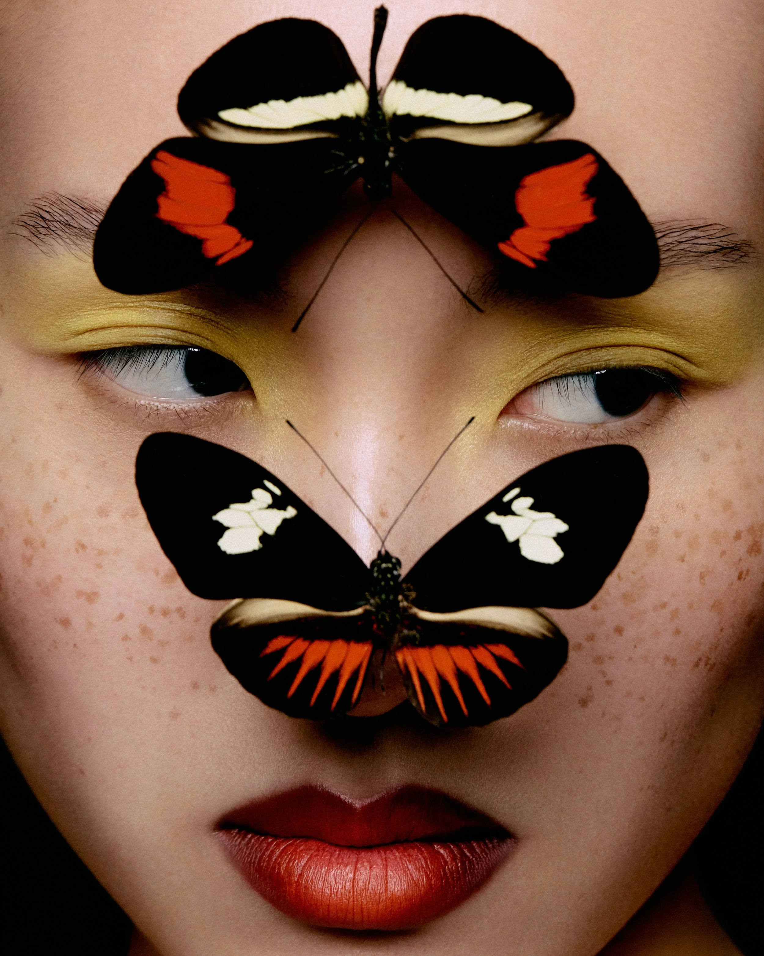 JoeBulawan_03_2026-05-11-BUTTERFLY_0284_HR_Butterfly.jpg