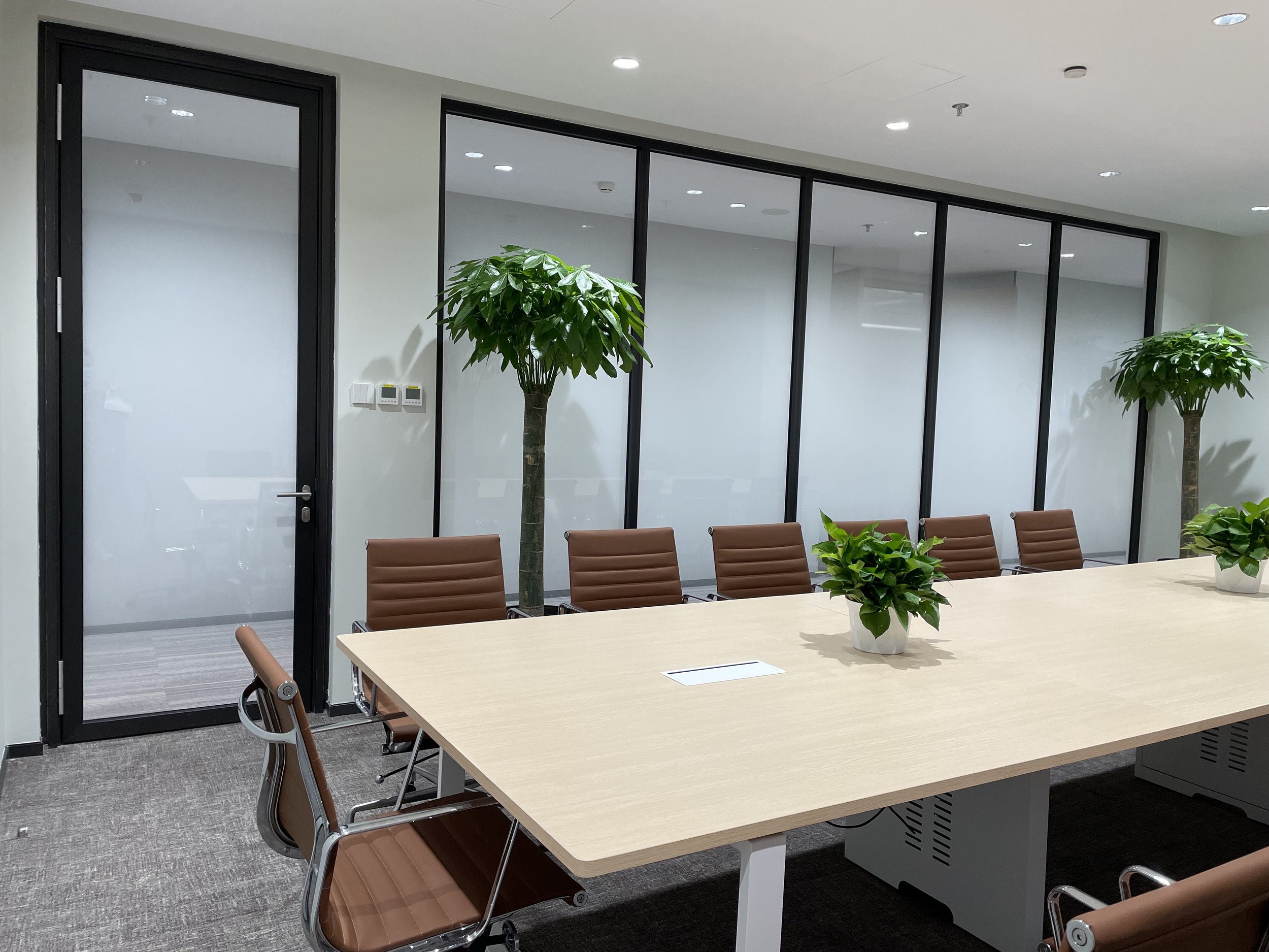 Modern Office Interior Partition - Internal View