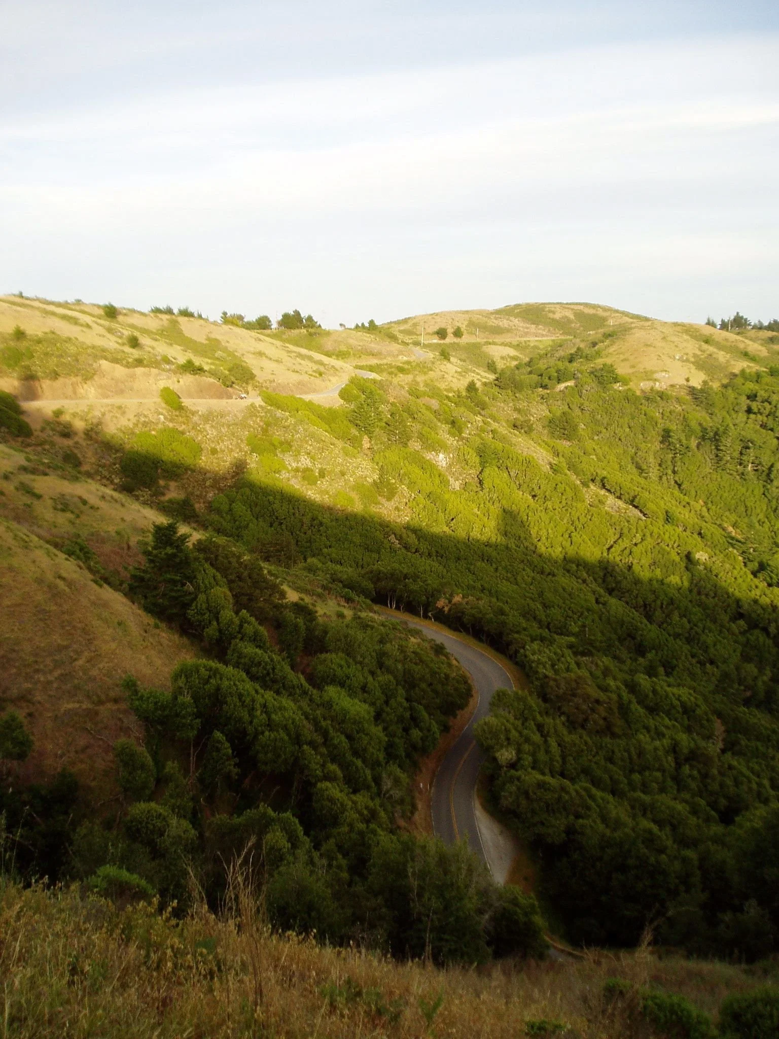Muir Woods National Monument was established in 1908 and is part of the Golden Gate National Recreation Area.