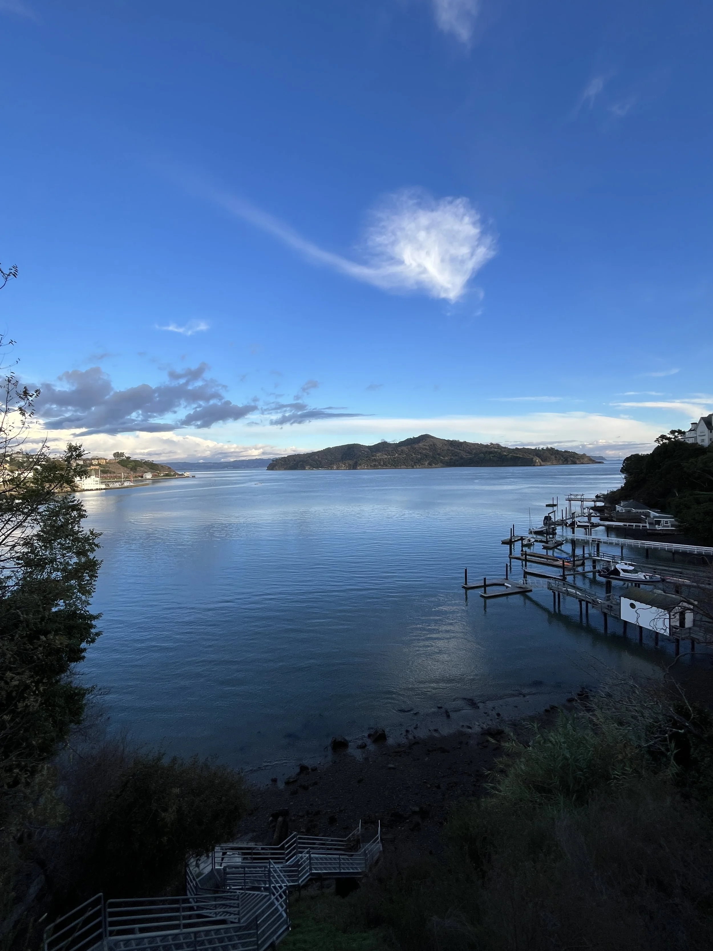 Angel Island from Tiburon