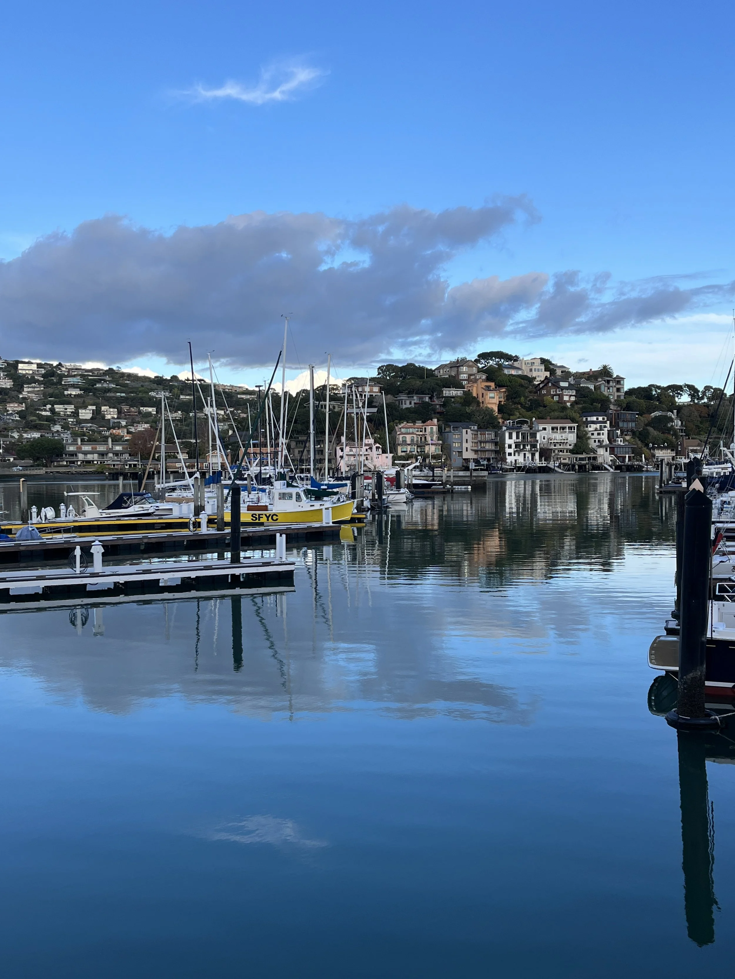 Sailboats in downtown Tiburon
