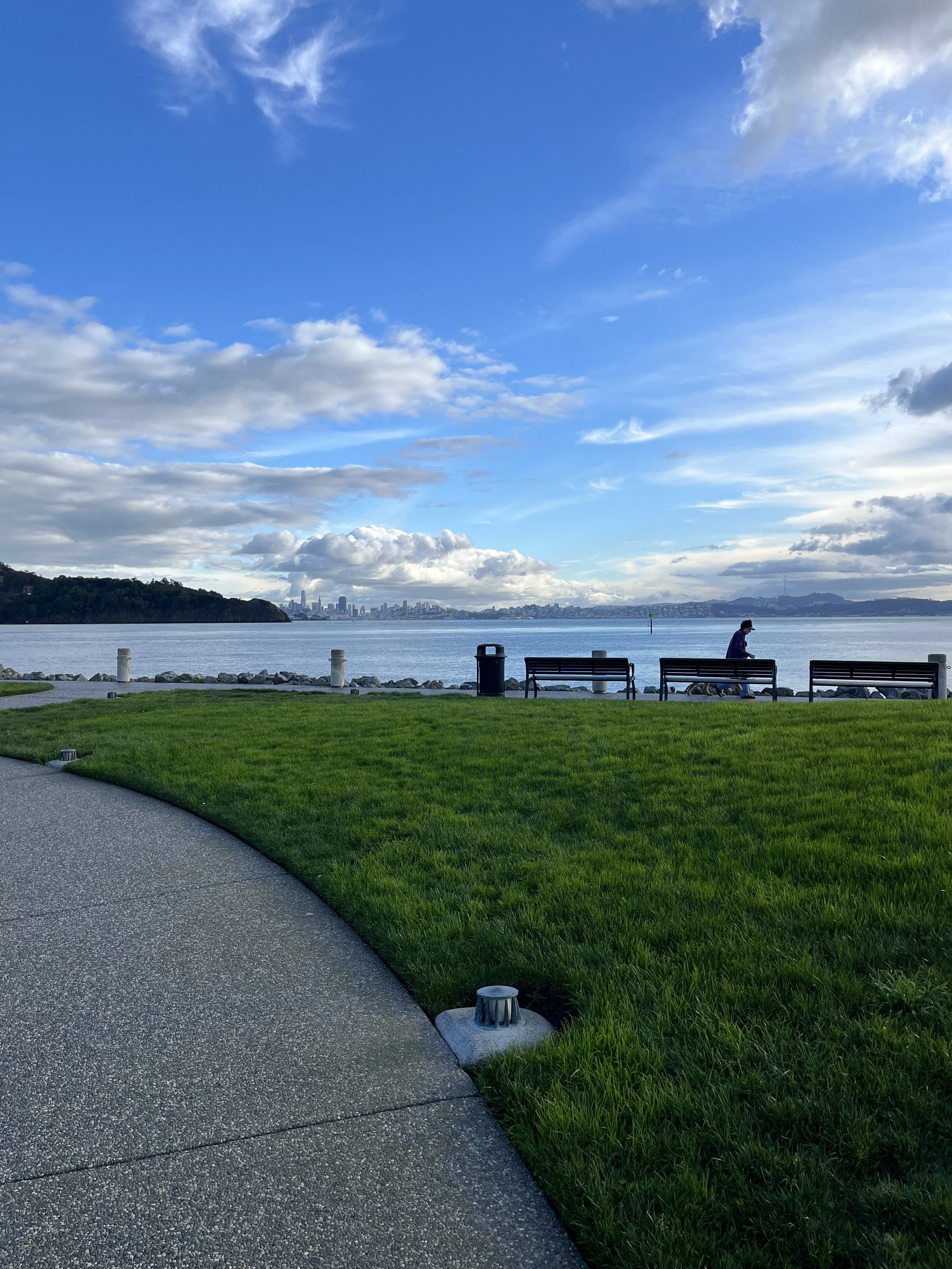 Angel Island from the Tiburon Green