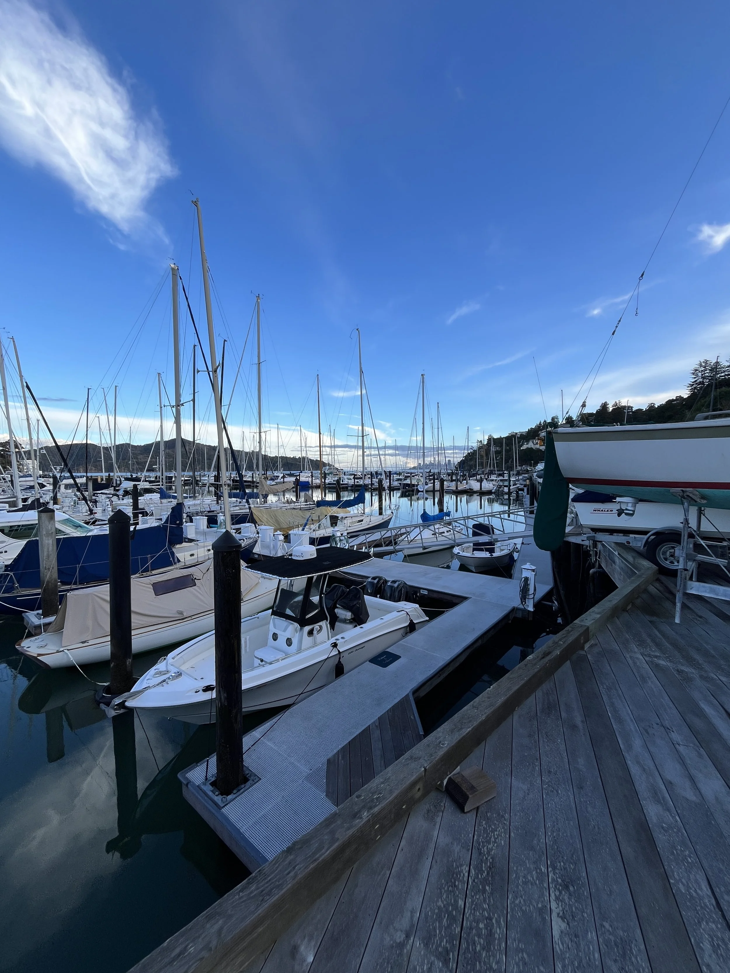Sailboats and Angel Island from Tiburon