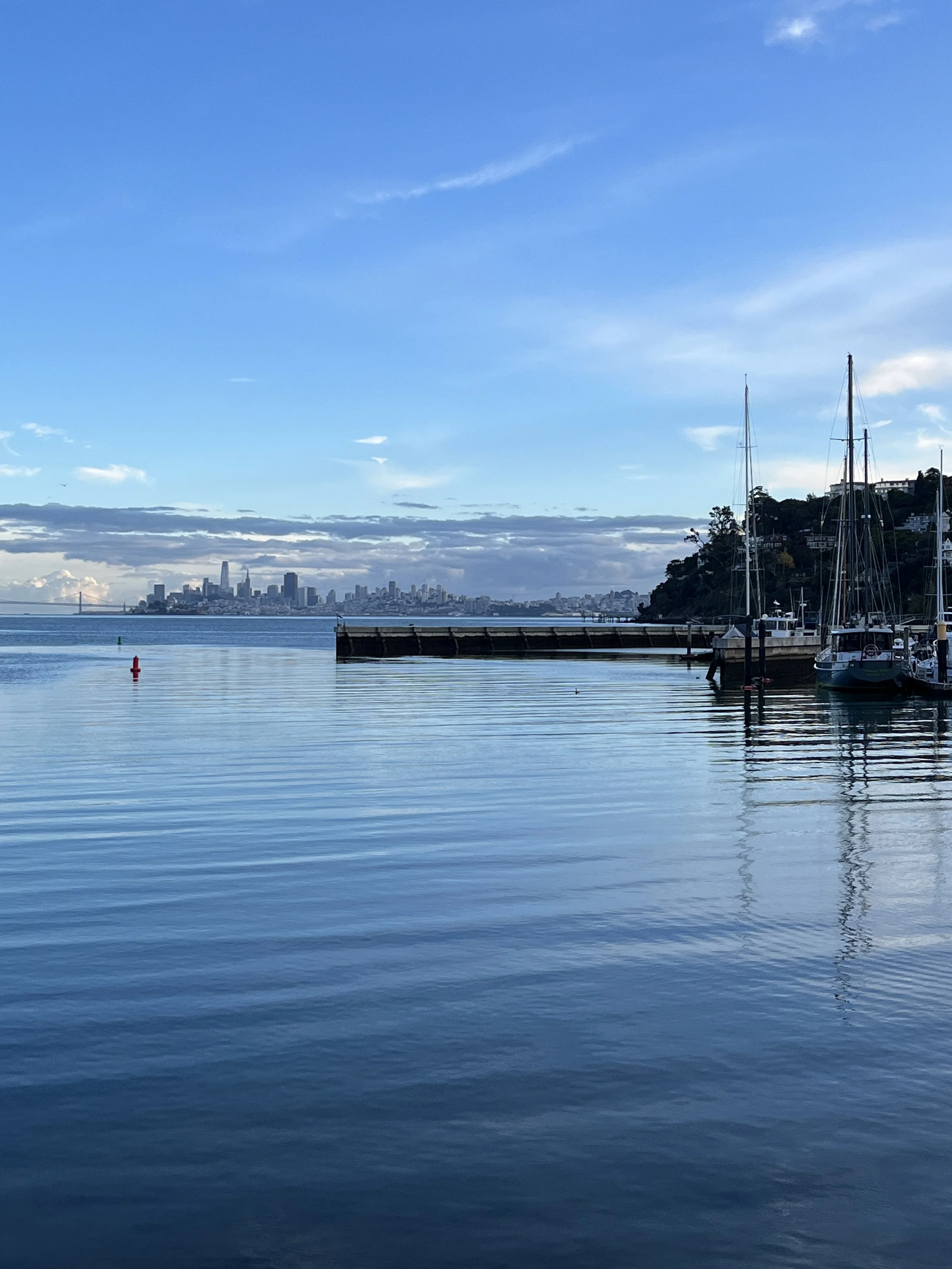 View of San Francisco from downtown Tiburon