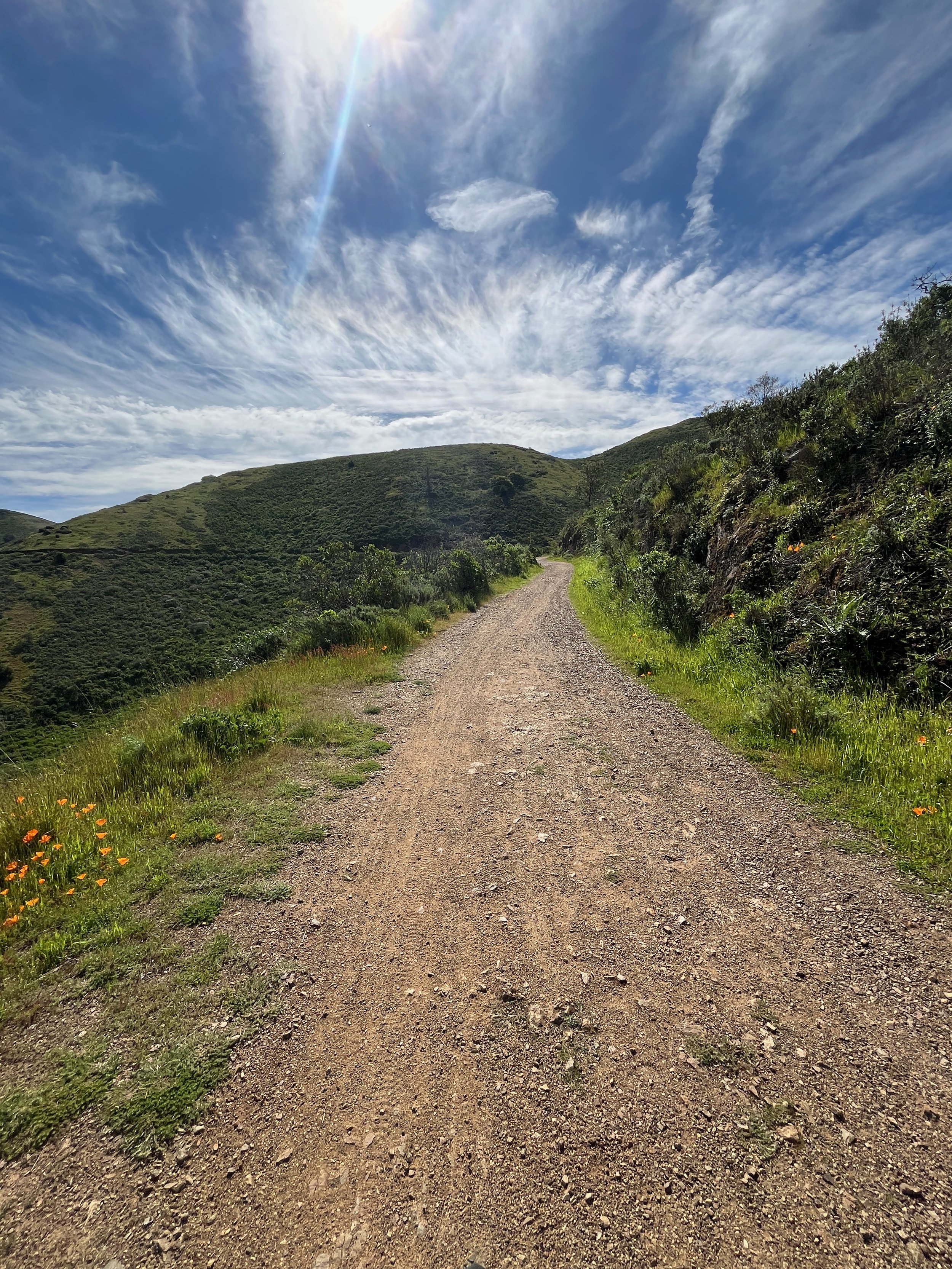 The Marincello Fire Road from Tennessee Valley offers stunning views of Mt Tamalpais and Marin