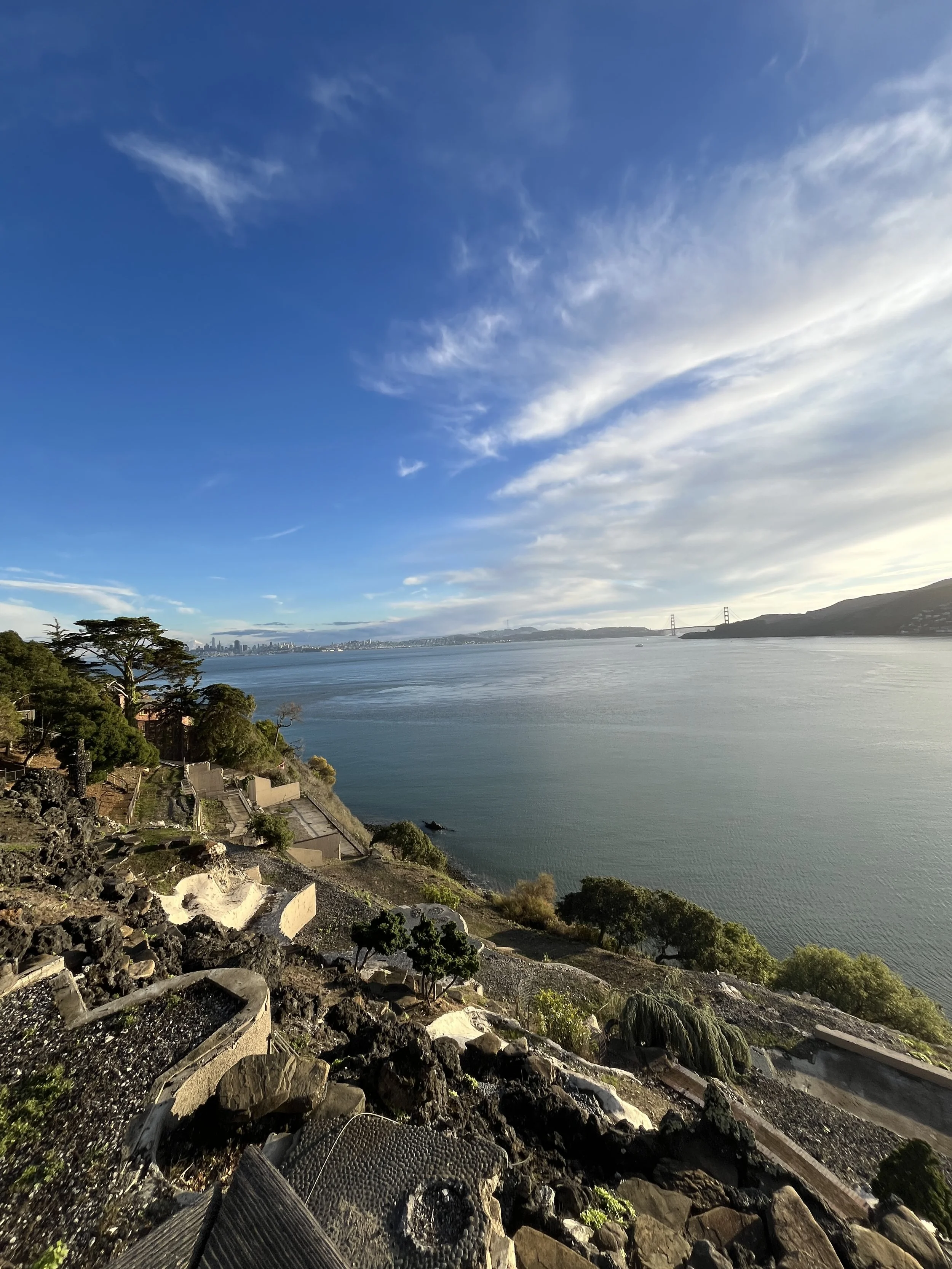 A view of San Francisco from Belvedere