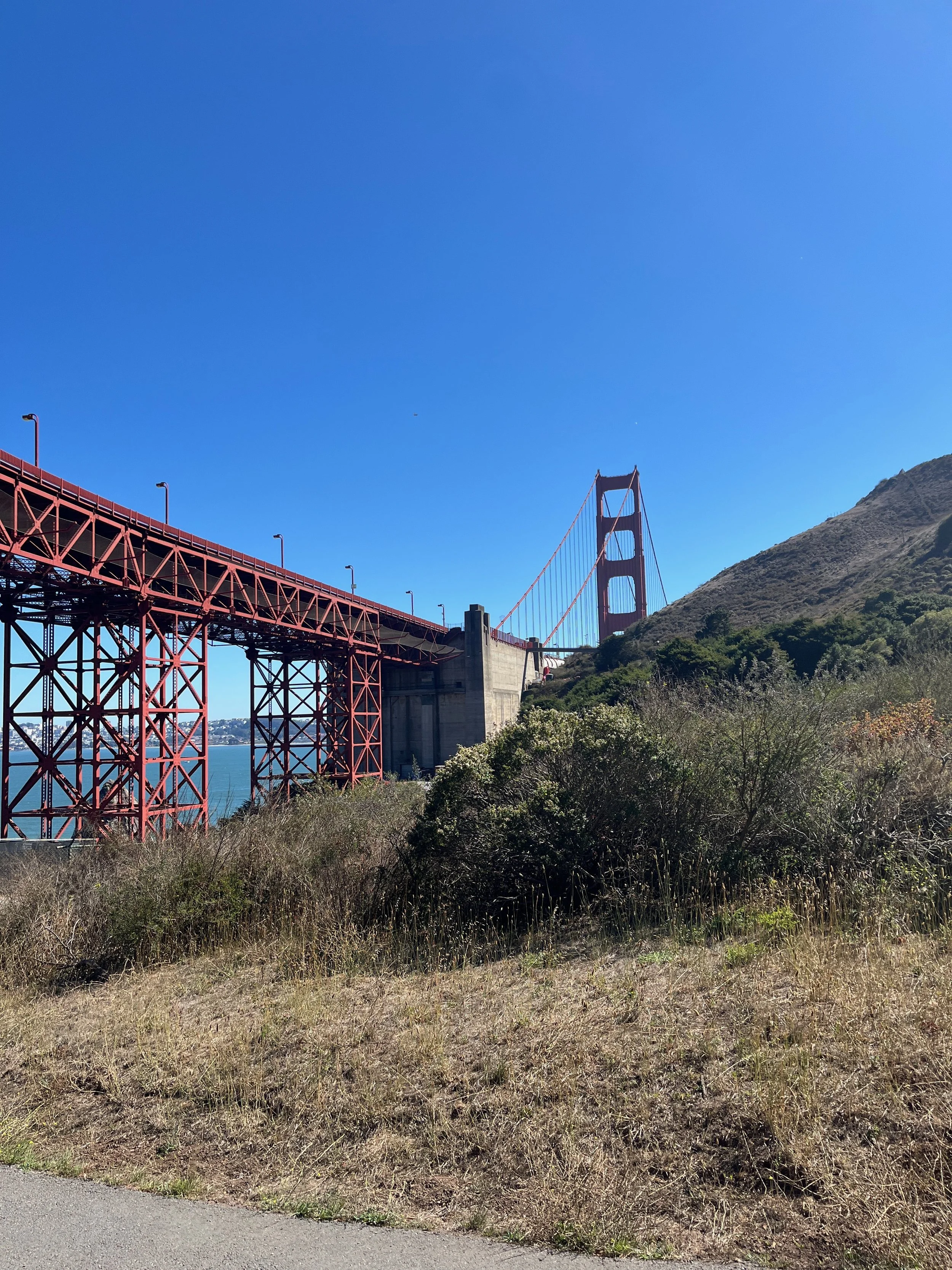 Conzelman Road under the Golden Gate Bridge is where the pimp got shot in Clint Eastwood's "Magnum Force"