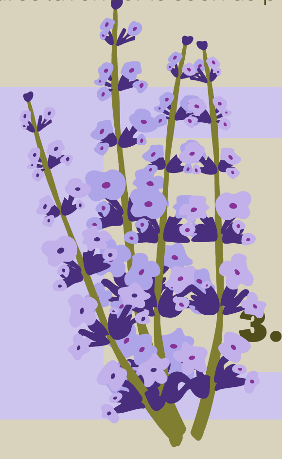 Screenshot 2024-07-10 at 4.16.54 PM.png