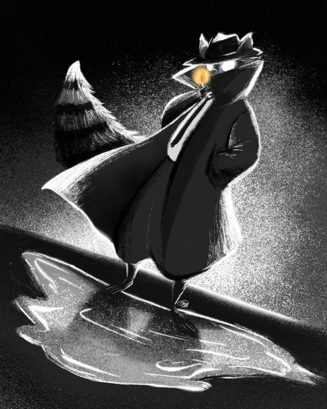 Raccoon Detective