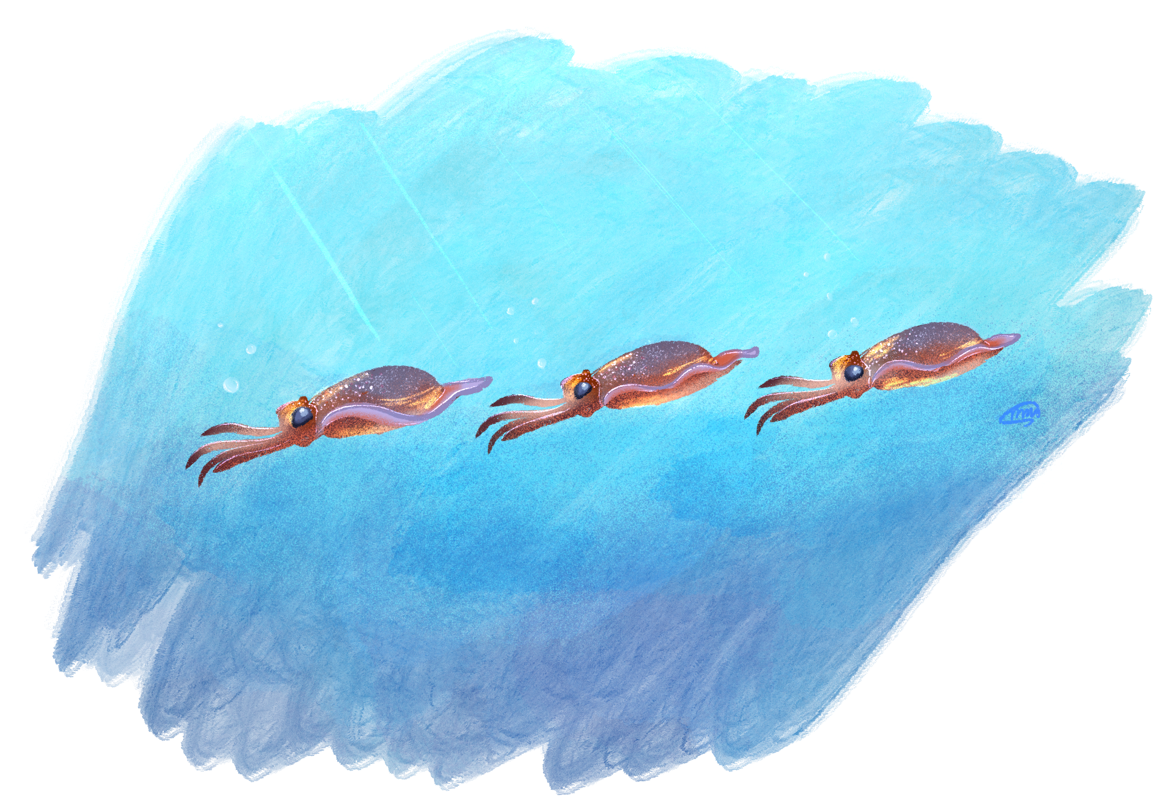 Untitled_Artwork 206.png