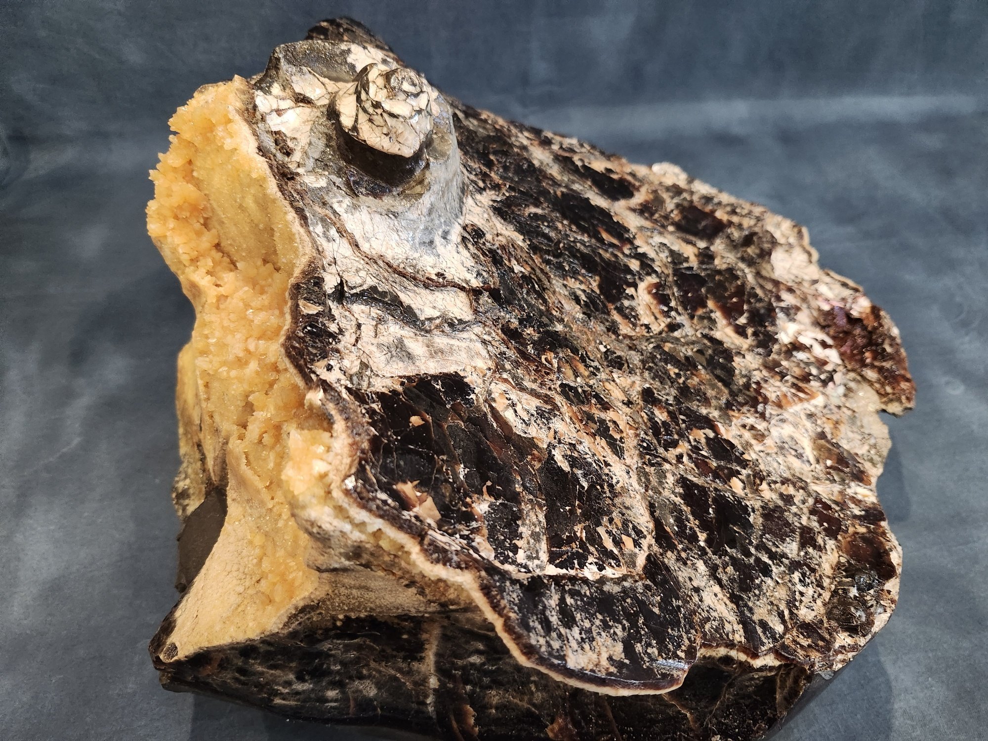 P. meeki negative with Calcite.jpg