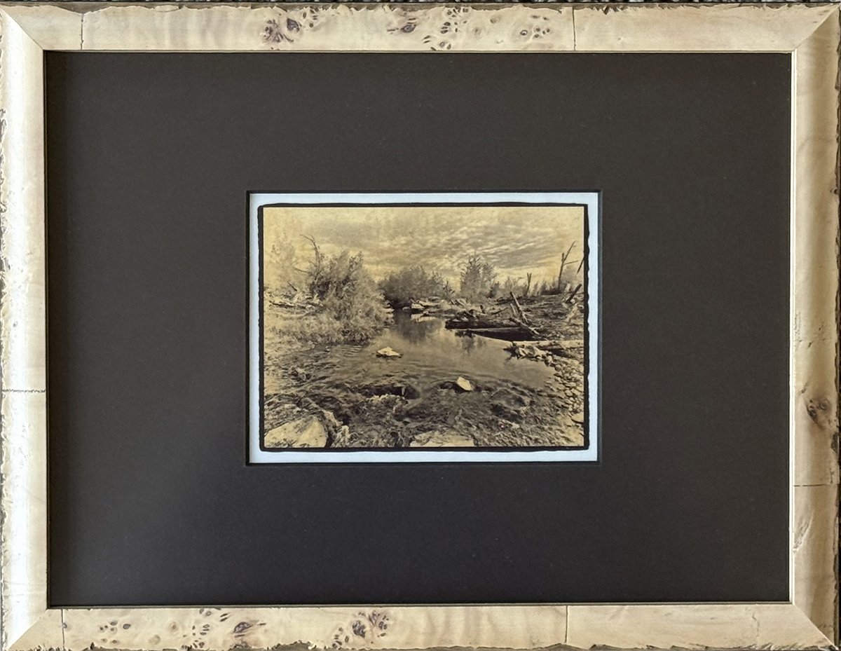 Leibowitz_Bear Creek Redeux #6.jpg