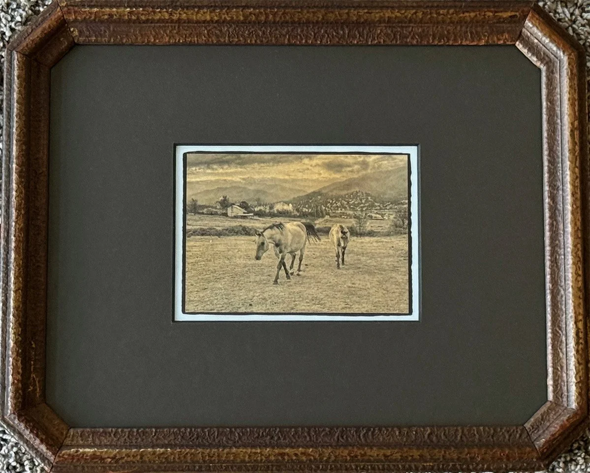 Leibowitz_Horses Walking.jpeg