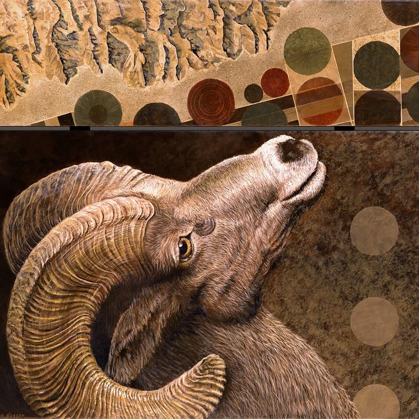 Duncan_WatchmenDesertBighornSheep.jpg