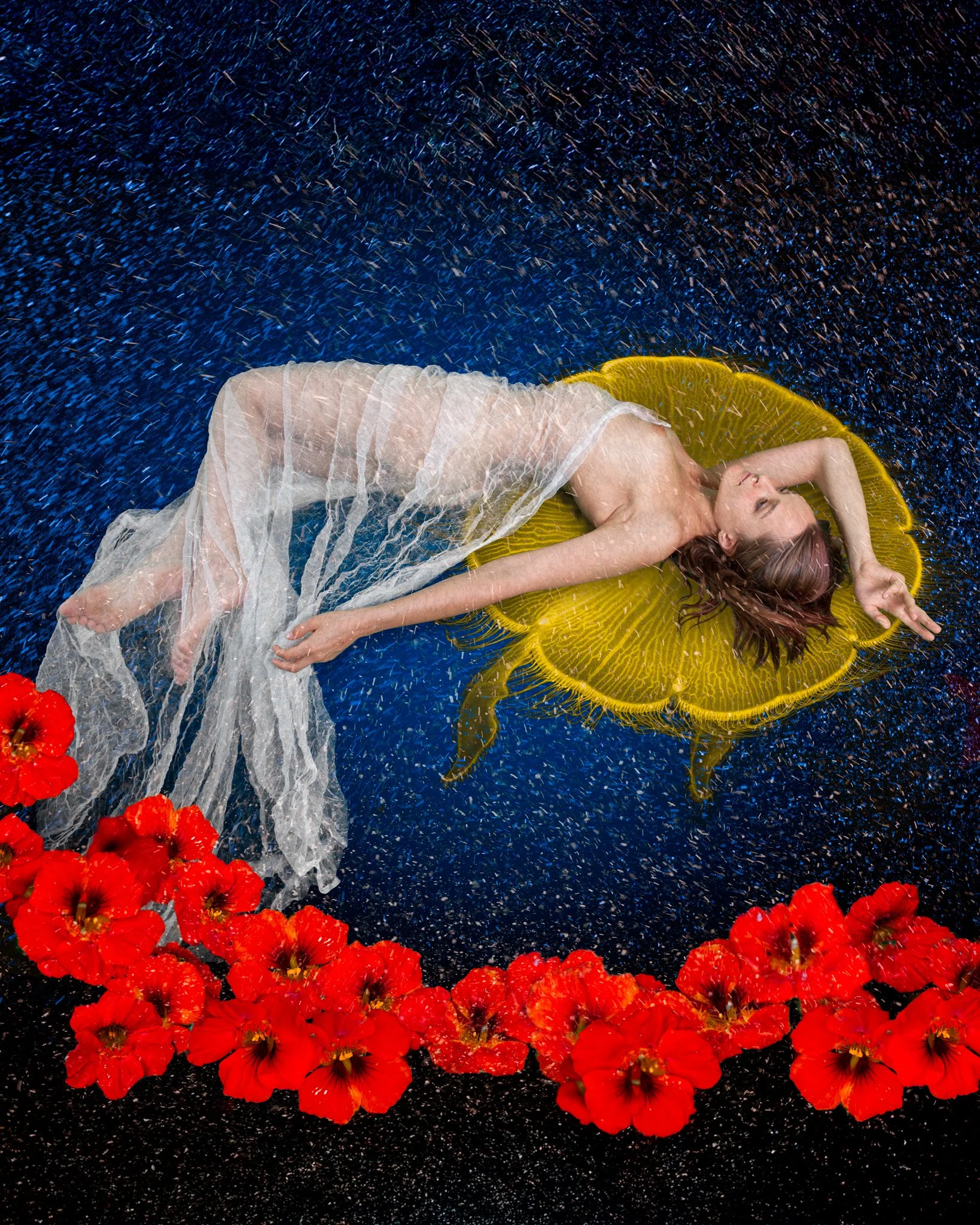 Moon Jellyfish Dreams