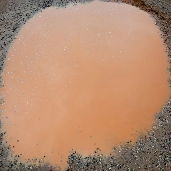 SS_The Puddle.jpg