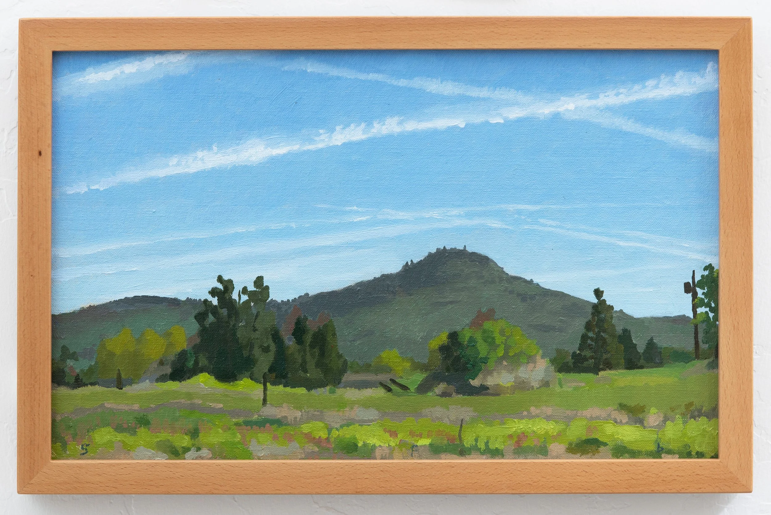 Burns_Spring on Spring Street with frame JY web.jpg