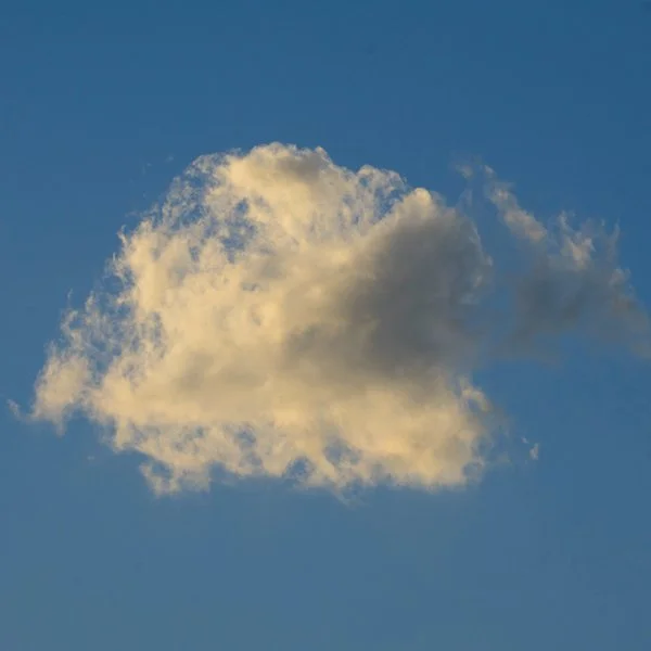 SS_The Cloud.jpg