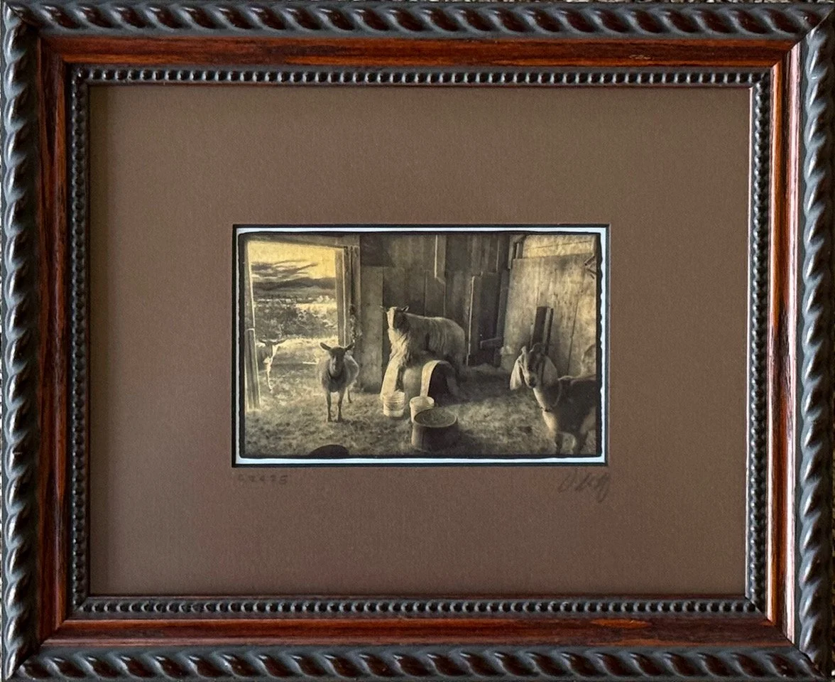 Leibowitz_Mendal's Perch.jpeg