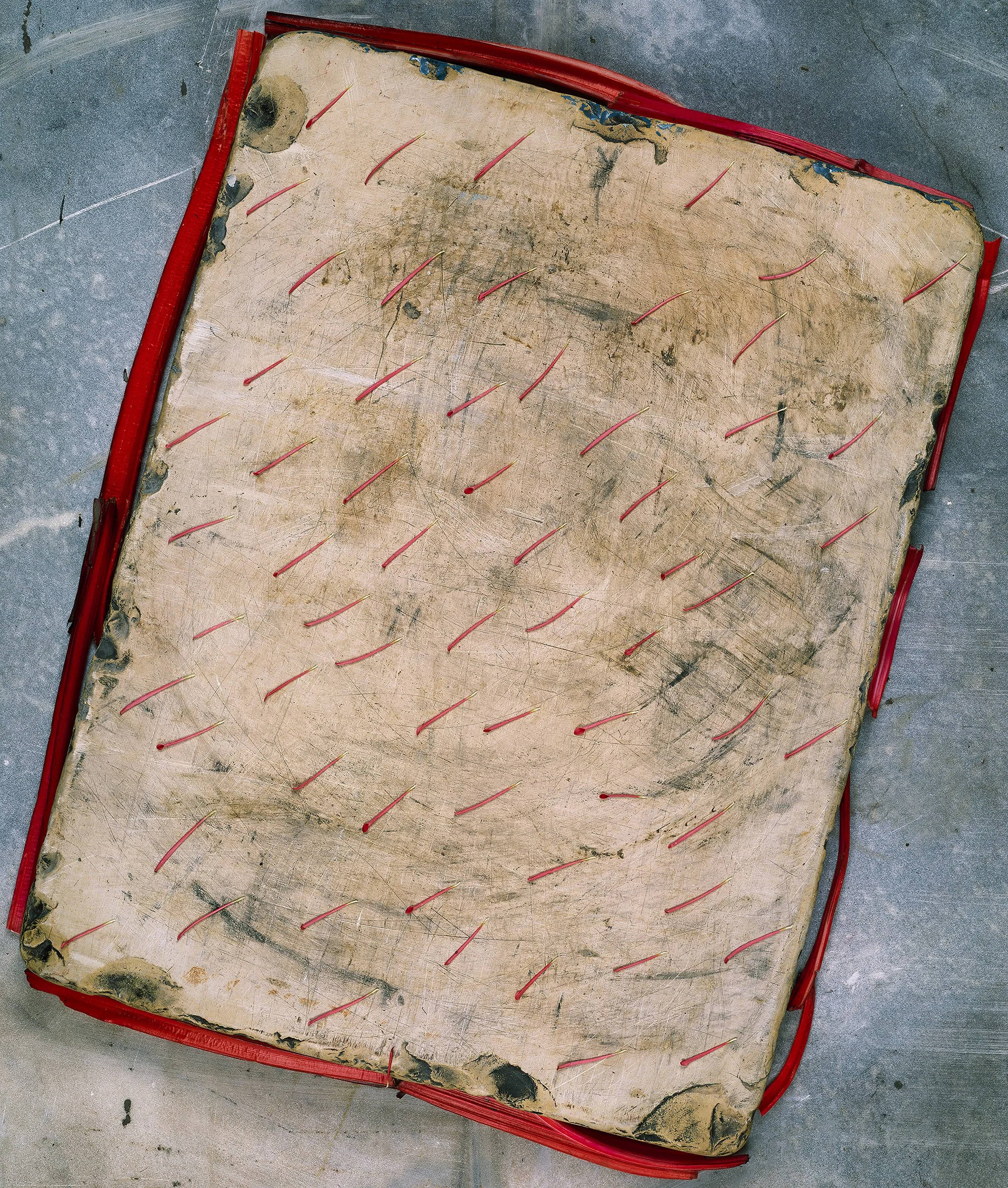 SS_Litho Flowers.jpg