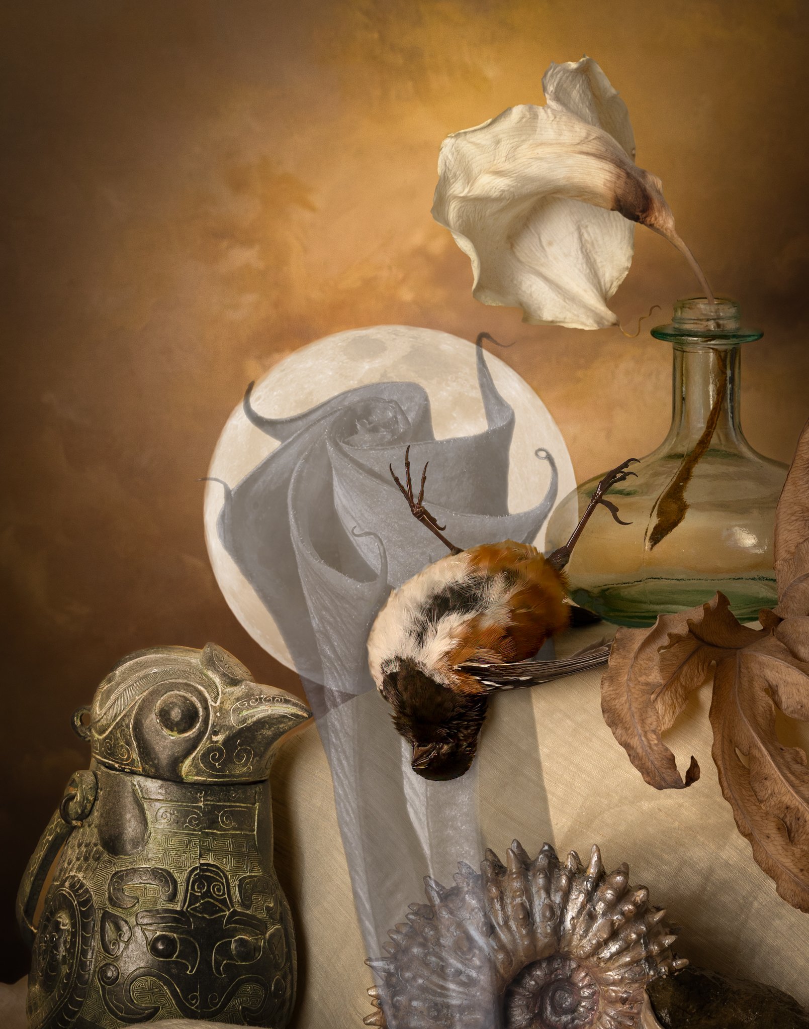 Monheim_Ephemeral Life.jpg