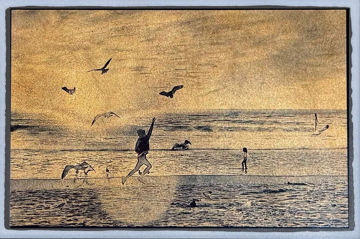 Gulls on Venice Beach