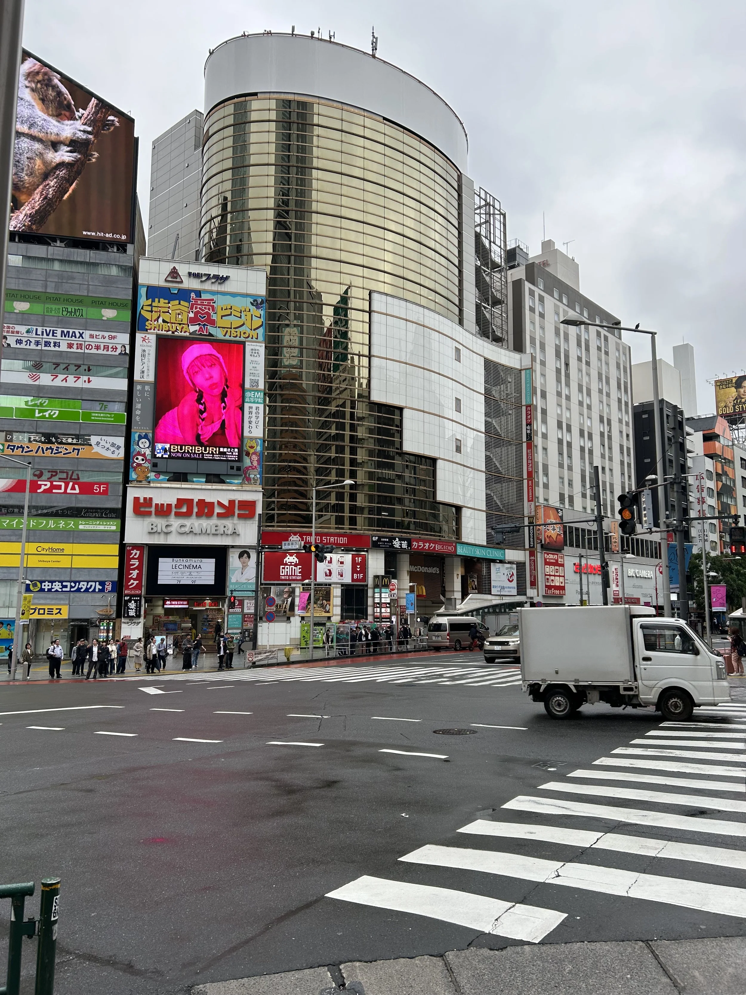 IMG_4432.jpeg