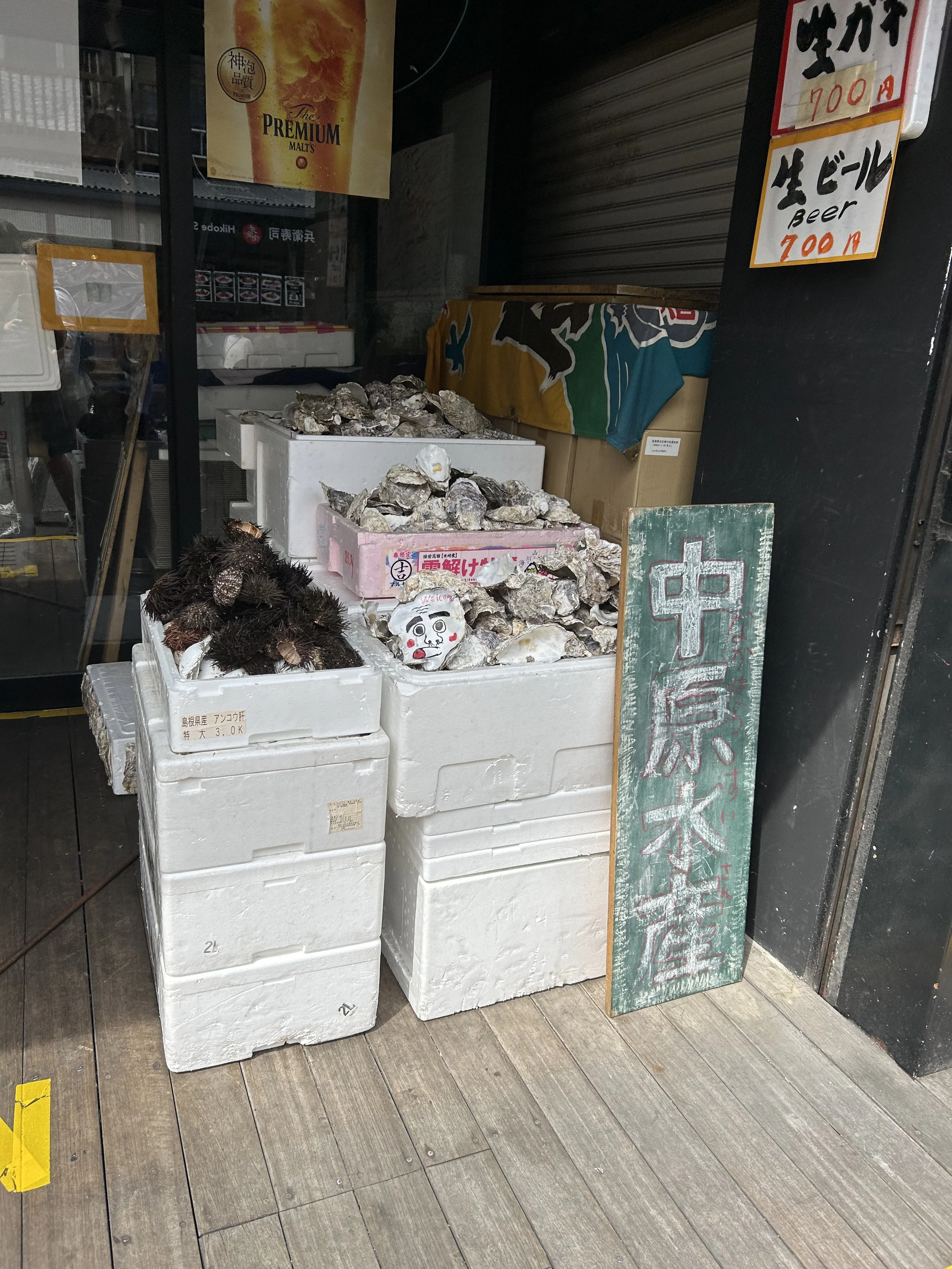 IMG_4595.jpeg