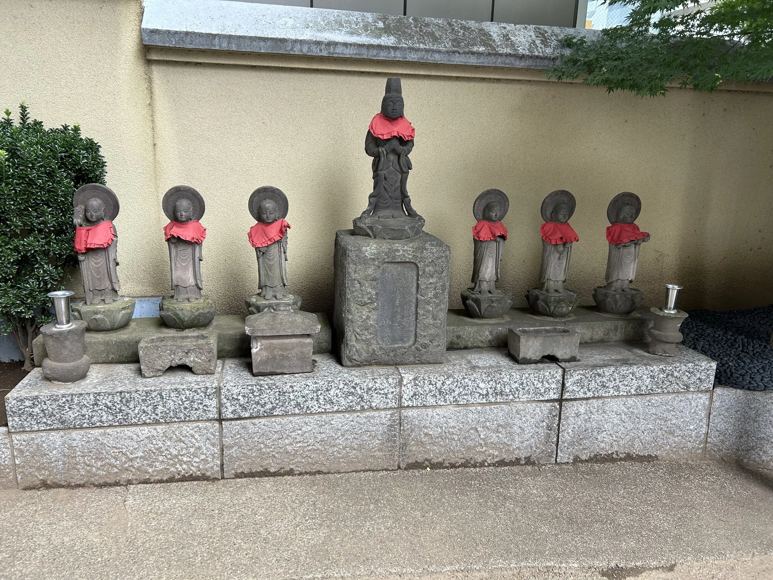 IMG_4777.jpeg