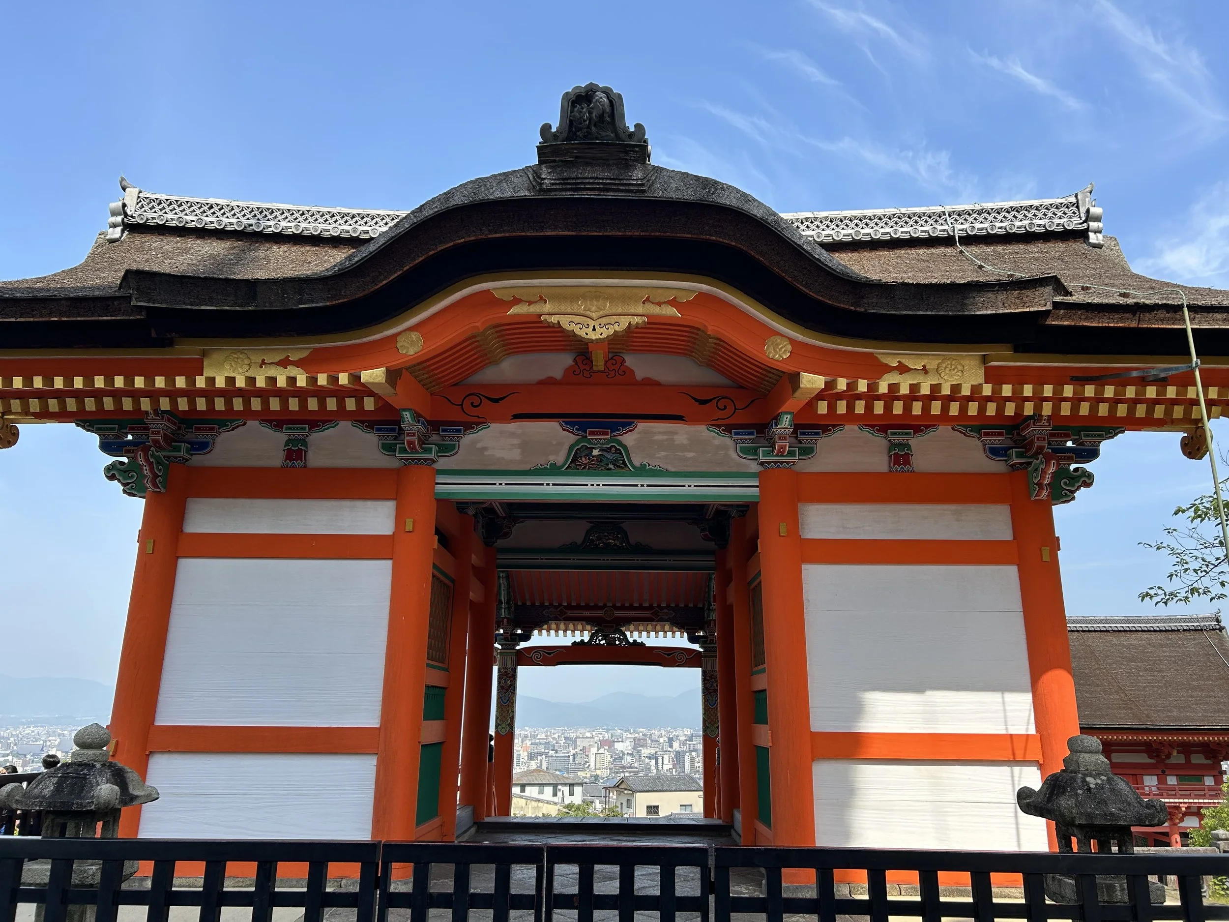 IMG_4935.jpeg
