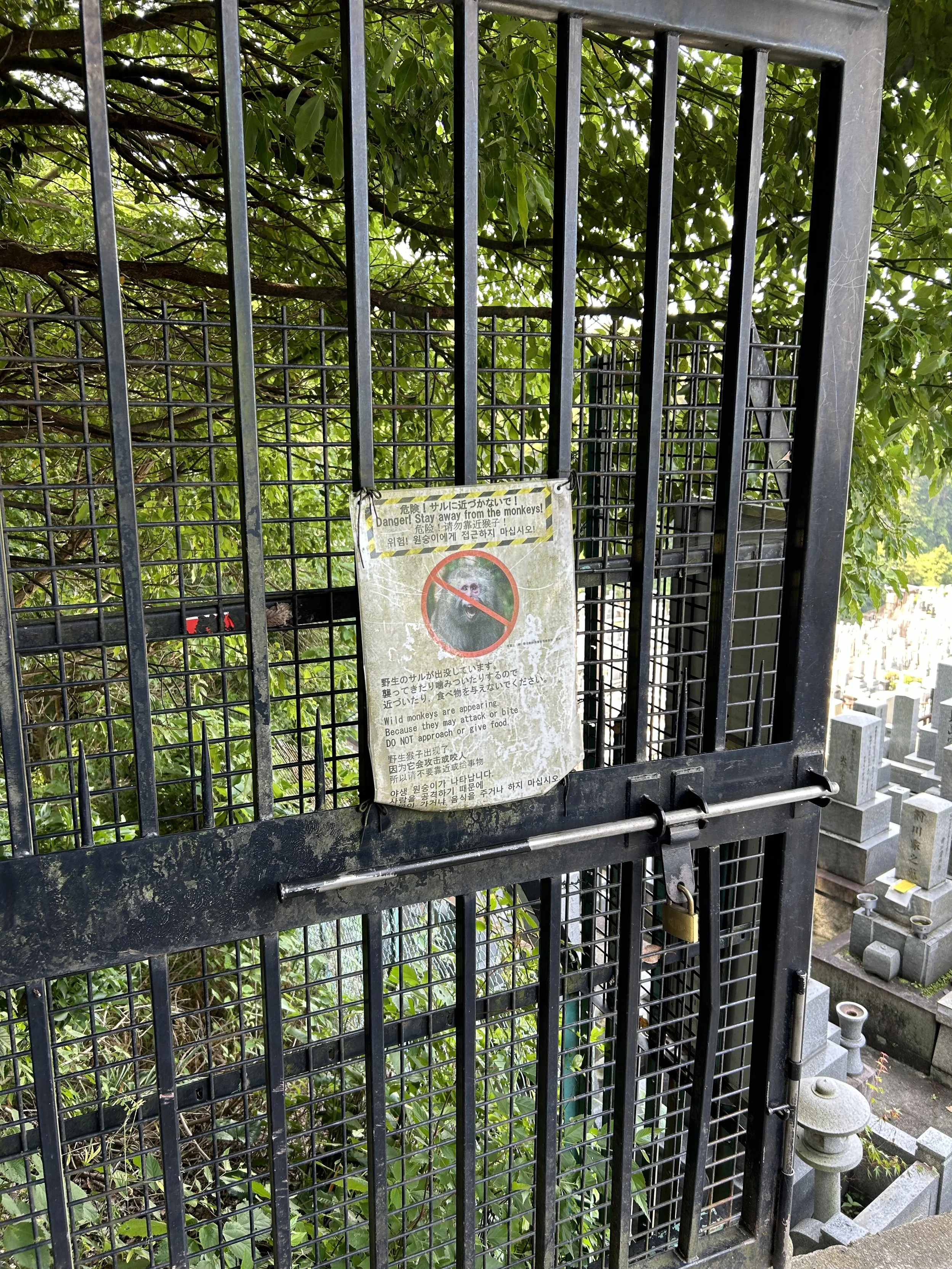 IMG_4943.jpeg