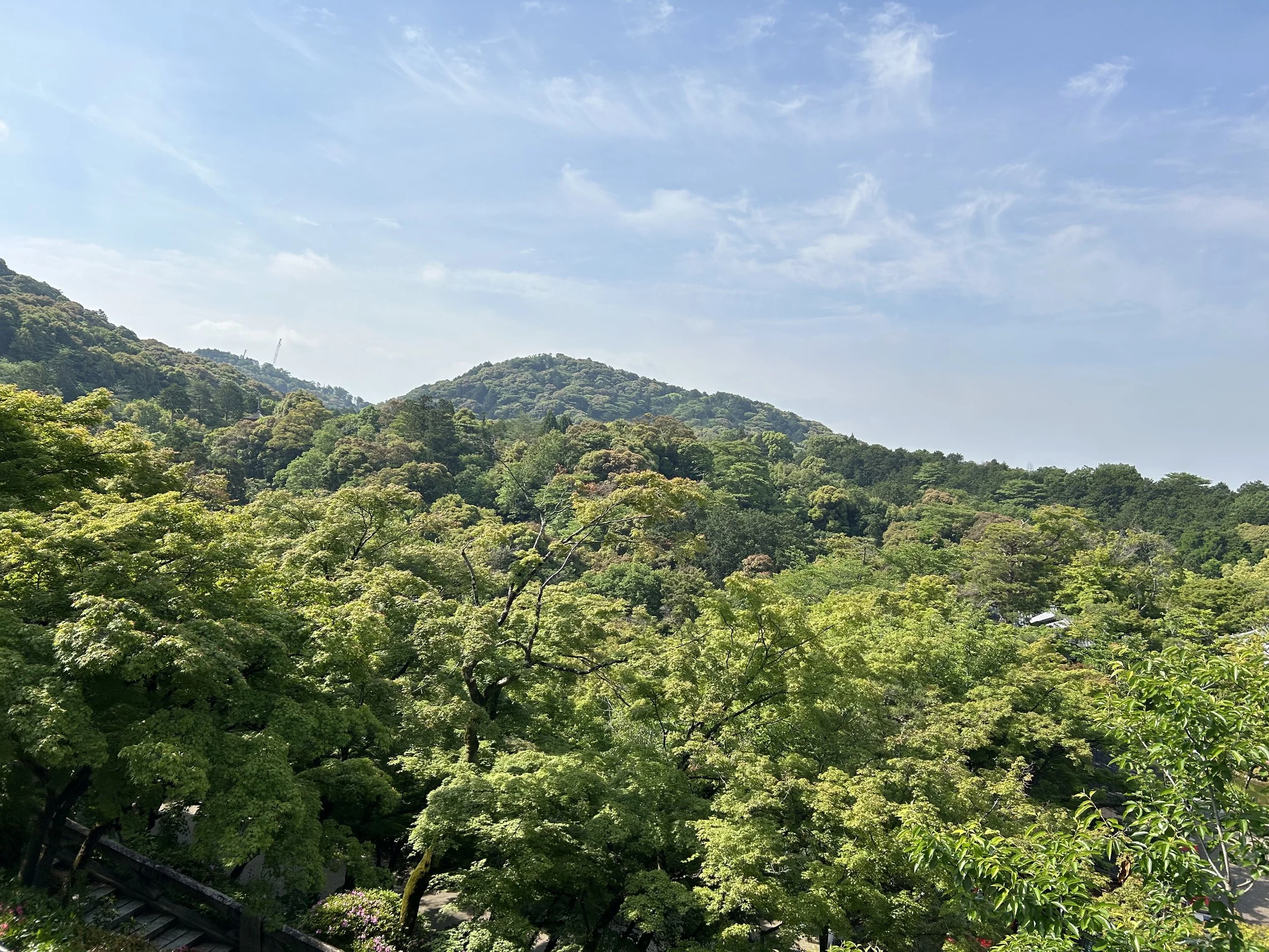 IMG_4937.jpeg