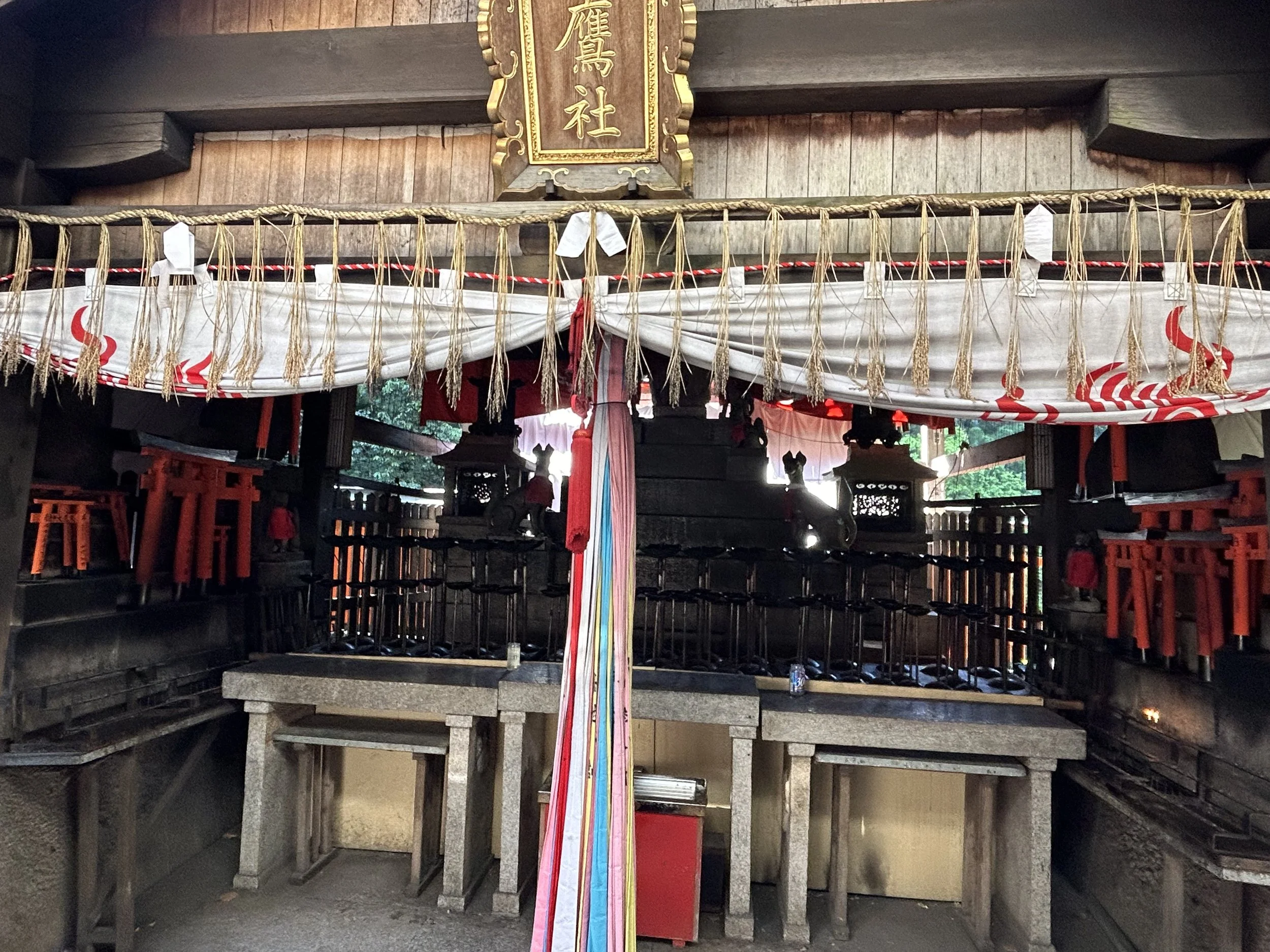 IMG_5115.jpeg