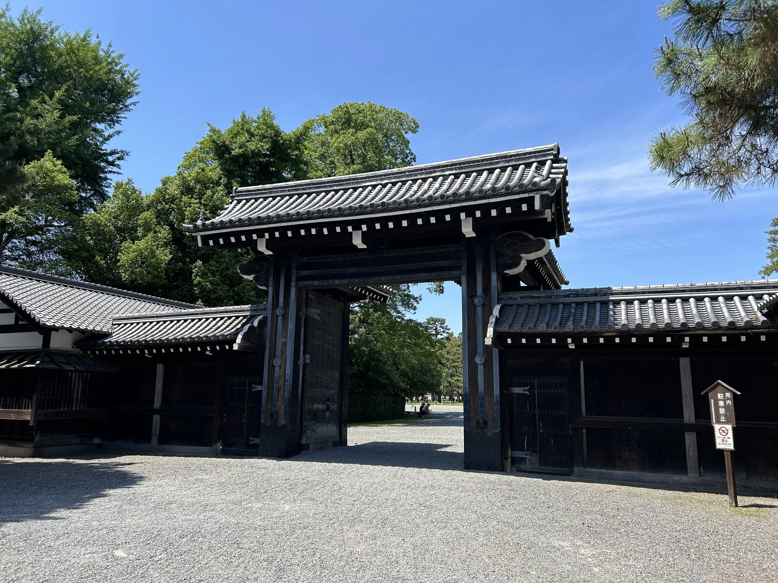 IMG_5240.jpeg