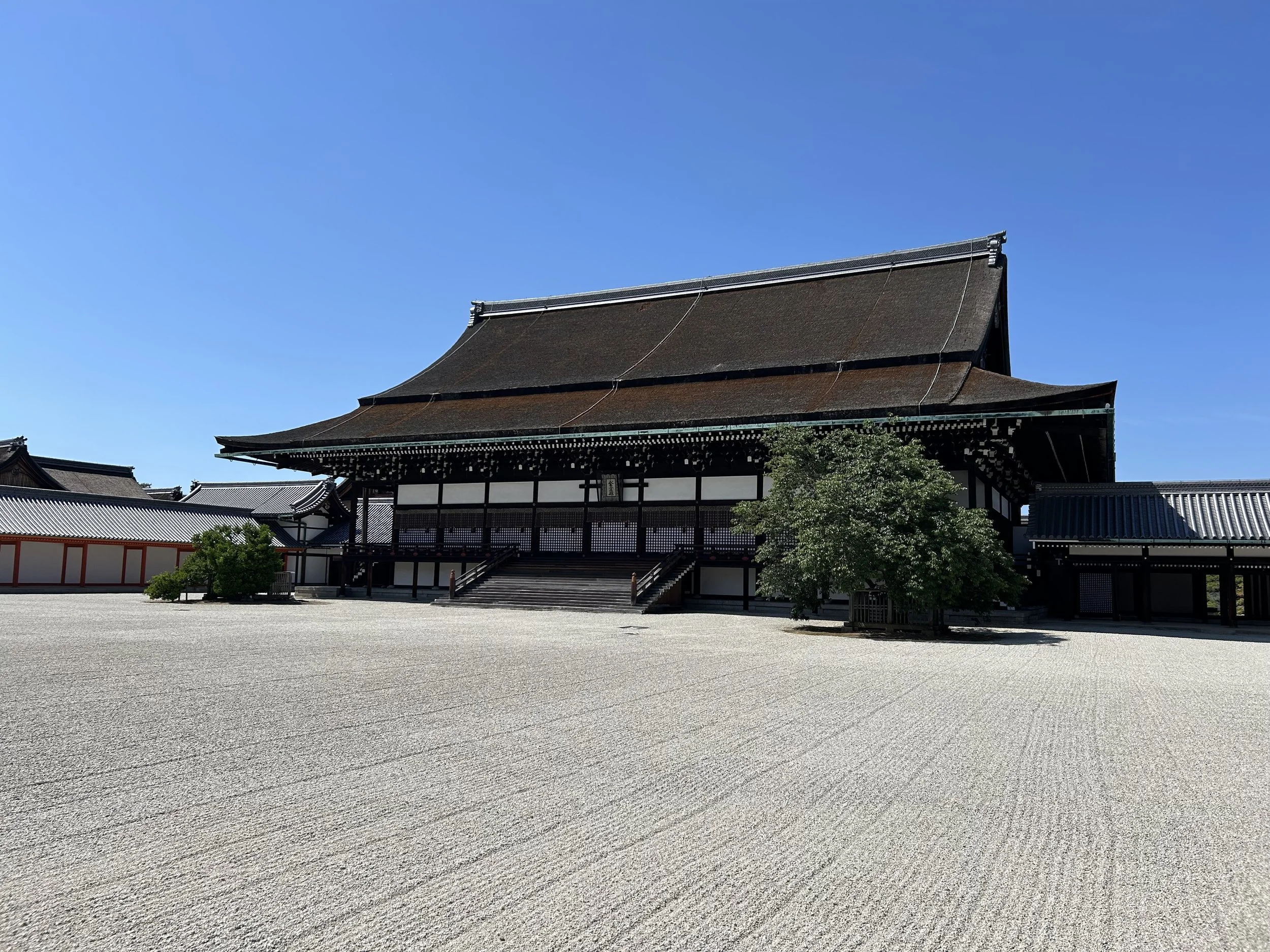 IMG_5268.jpeg