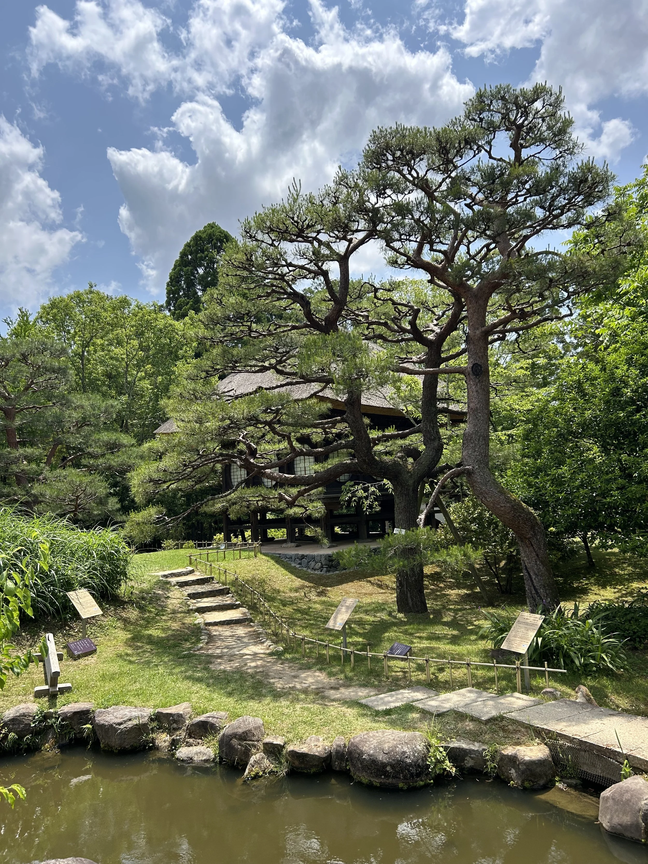 IMG_5401.jpeg
