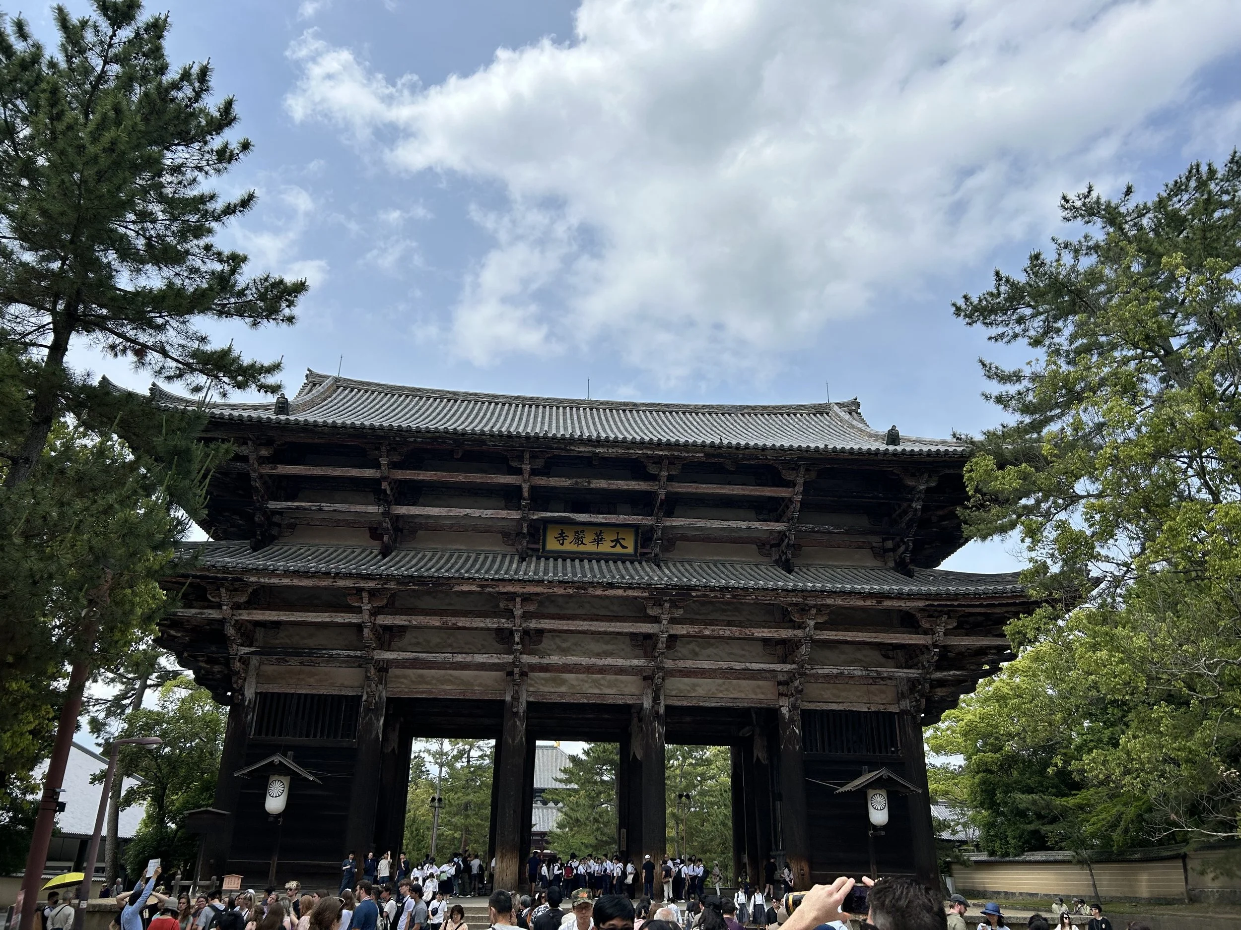 IMG_5563.jpeg