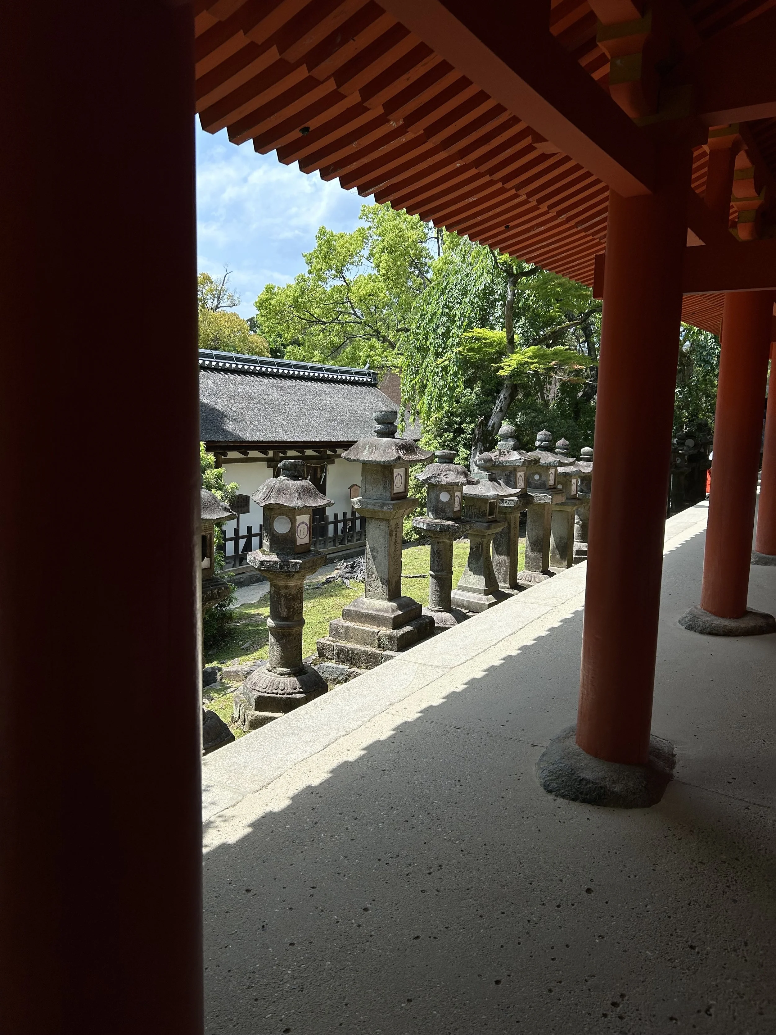 IMG_5559.jpeg