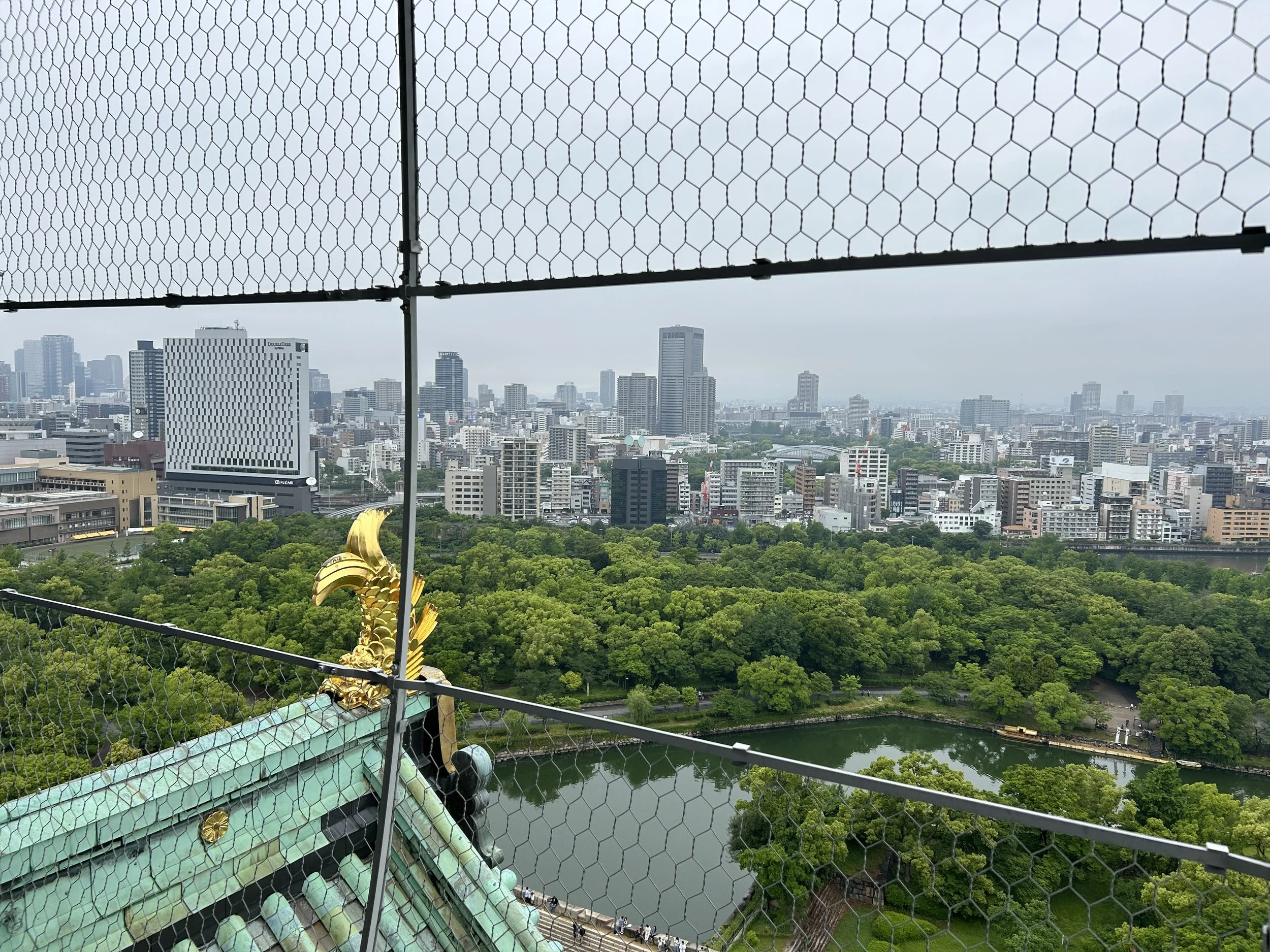 IMG_5619 2.jpeg