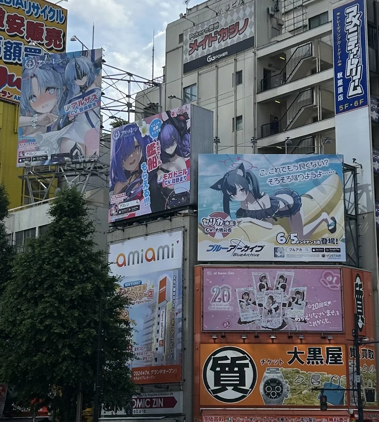 IMG_6087.jpeg