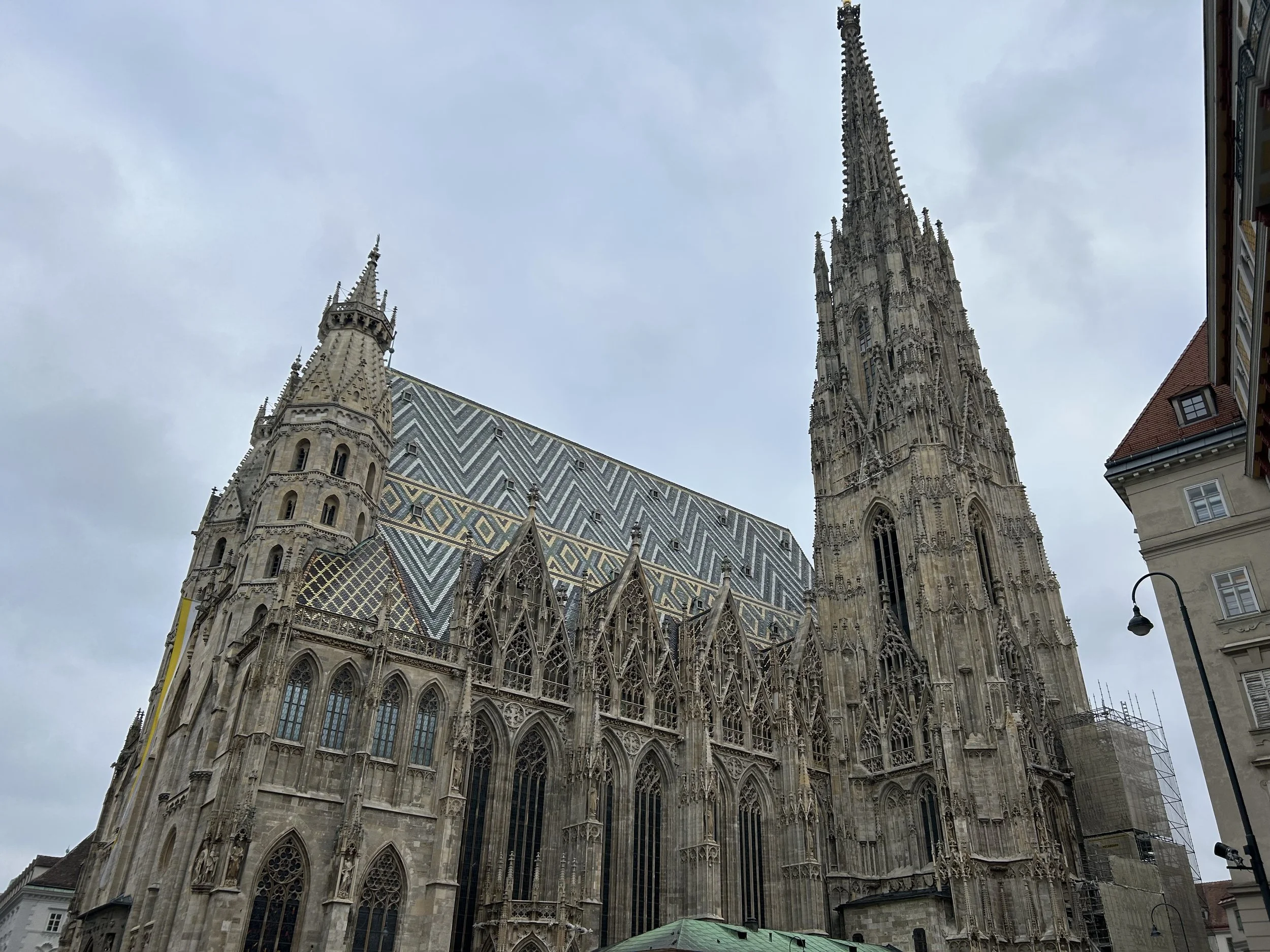 IMG_2650.jpeg
