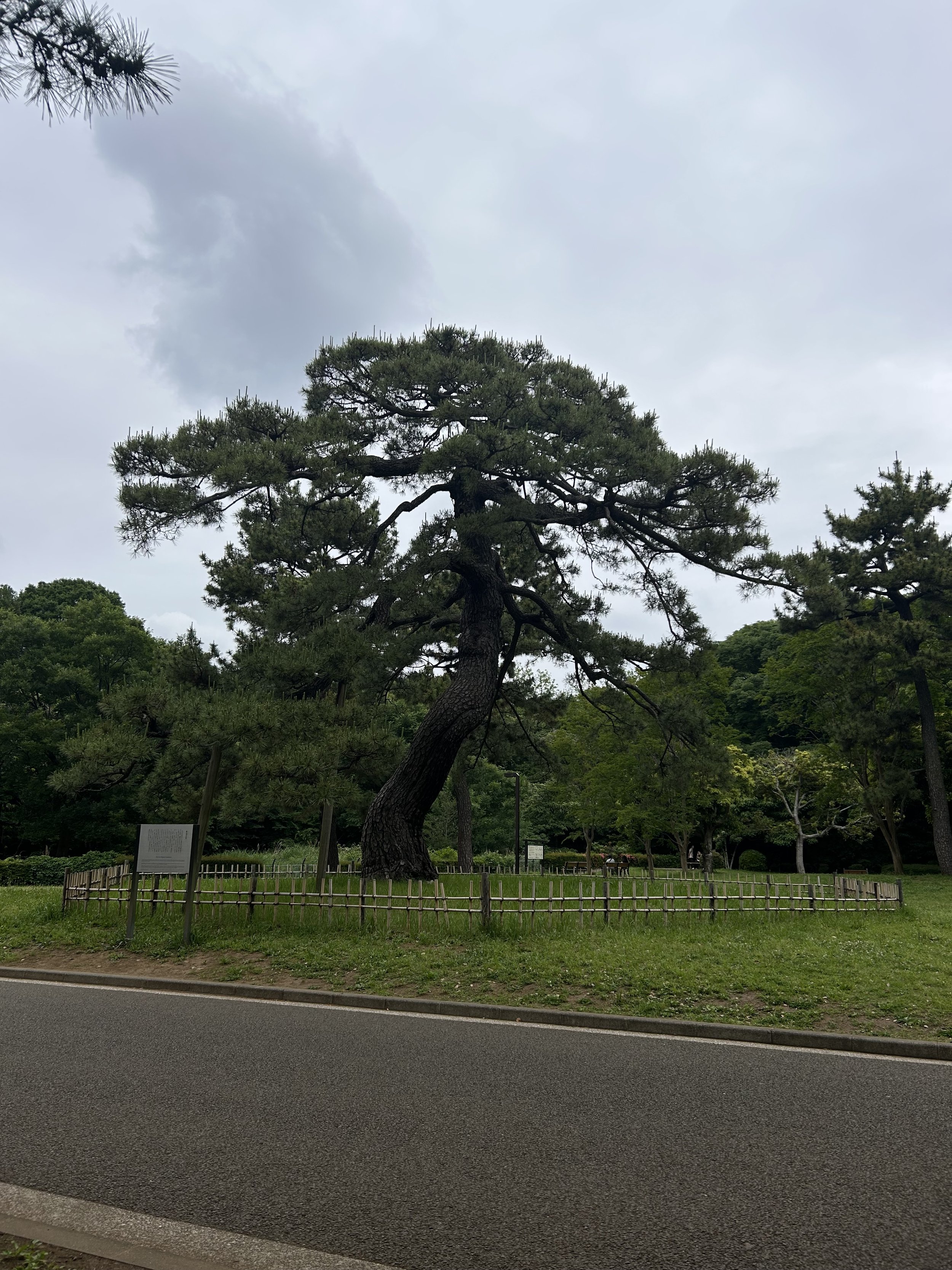 IMG_8977.jpeg
