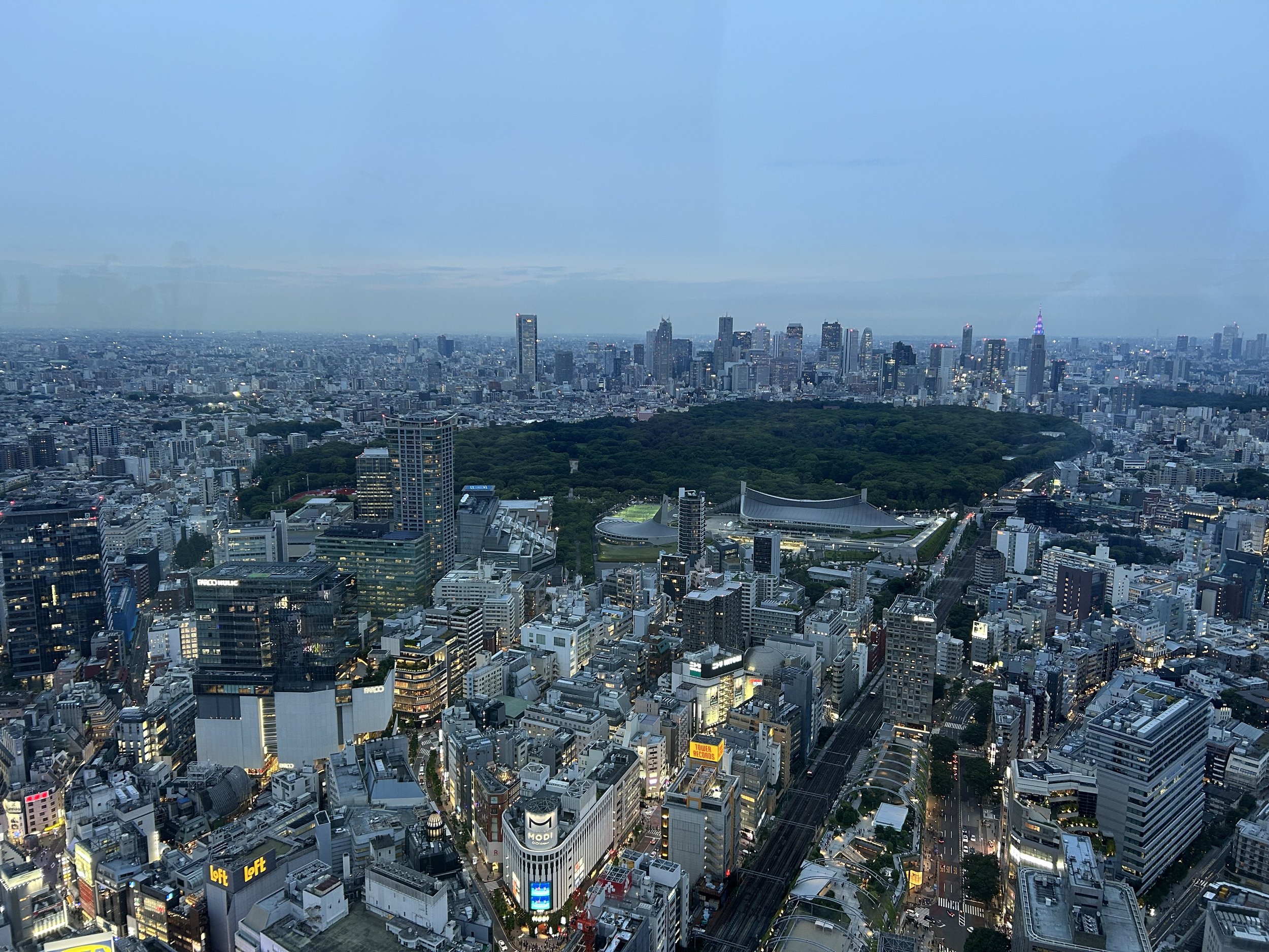 a month in japan part 1: tokyo and shimoda