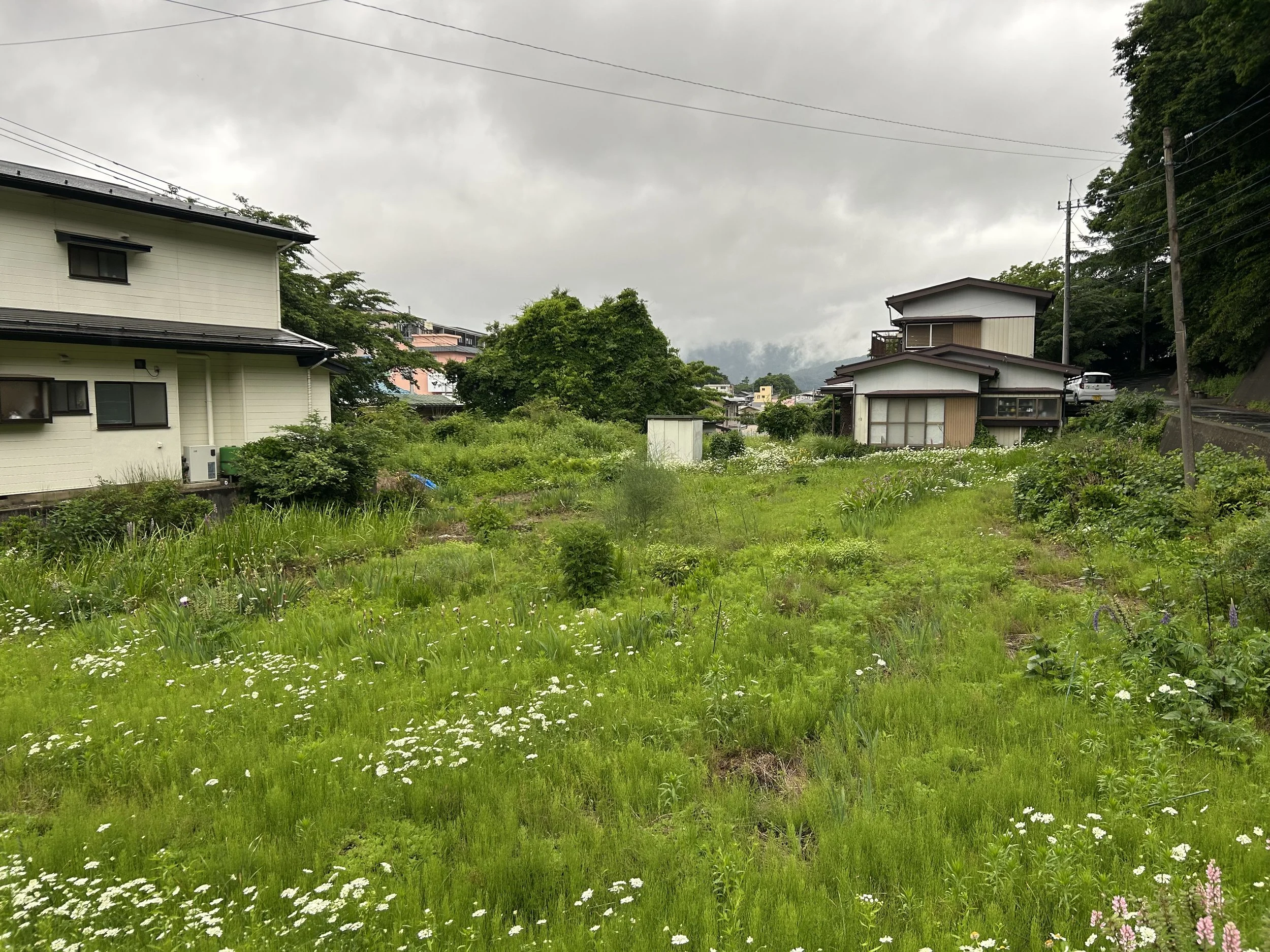 IMG_0420.jpeg