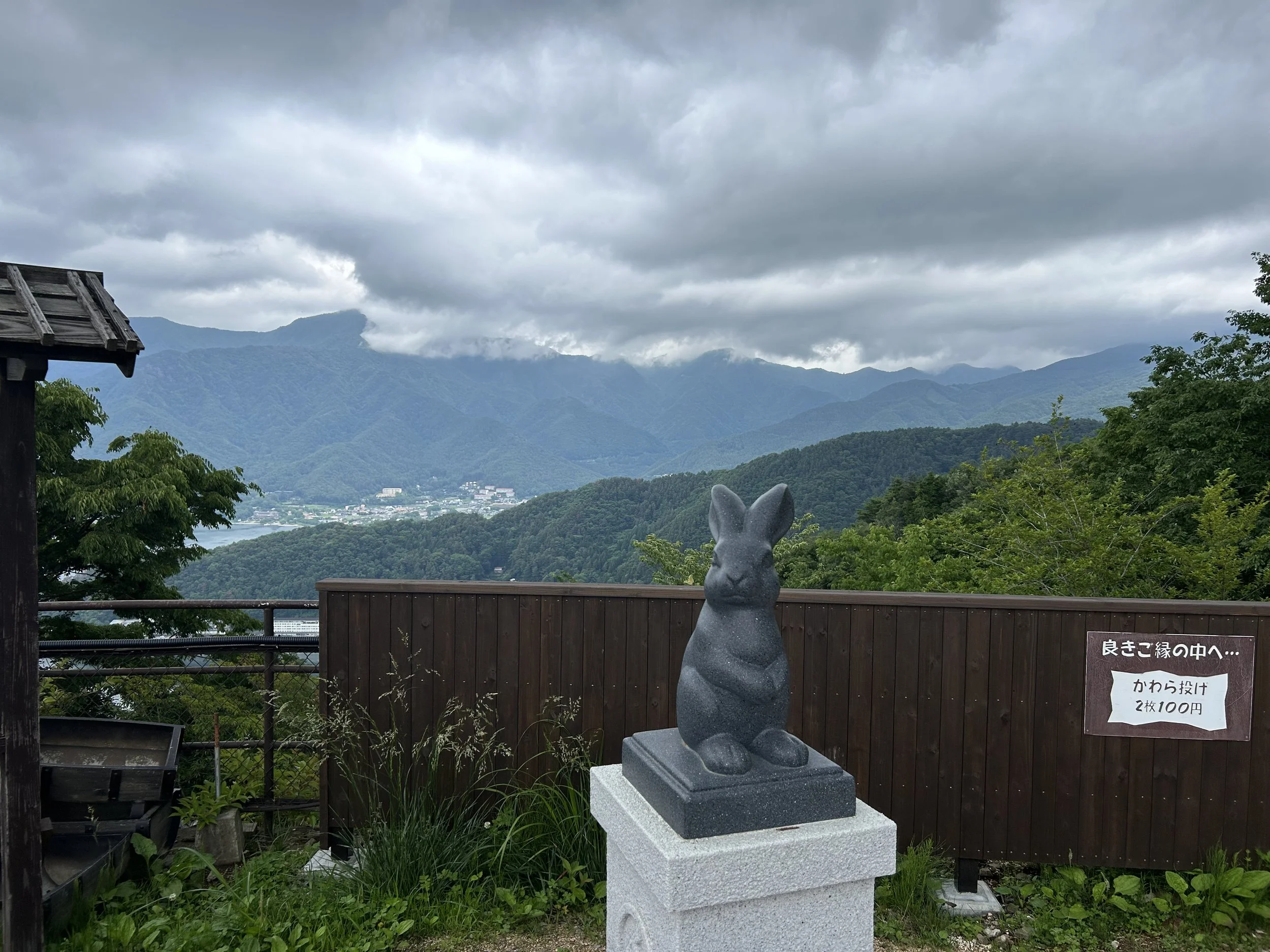 IMG_0536.jpeg