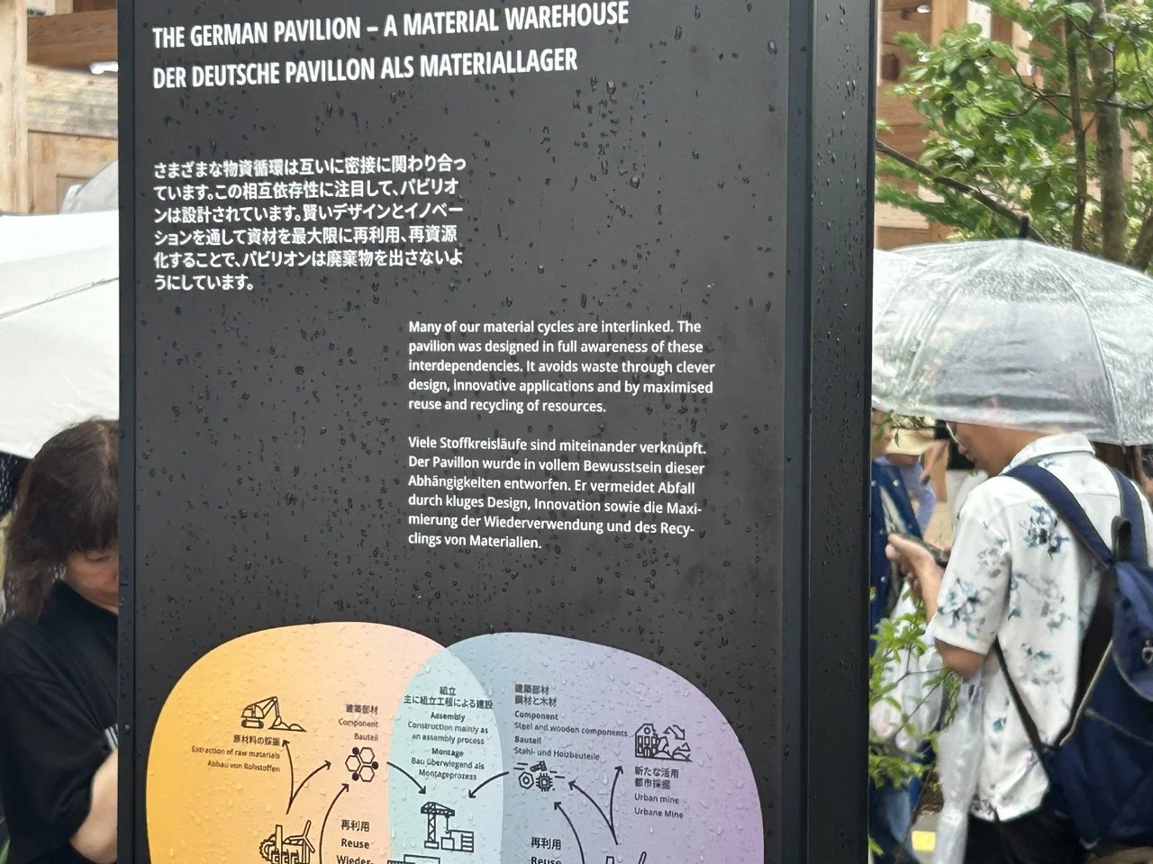 IMG_0298 Large.jpeg