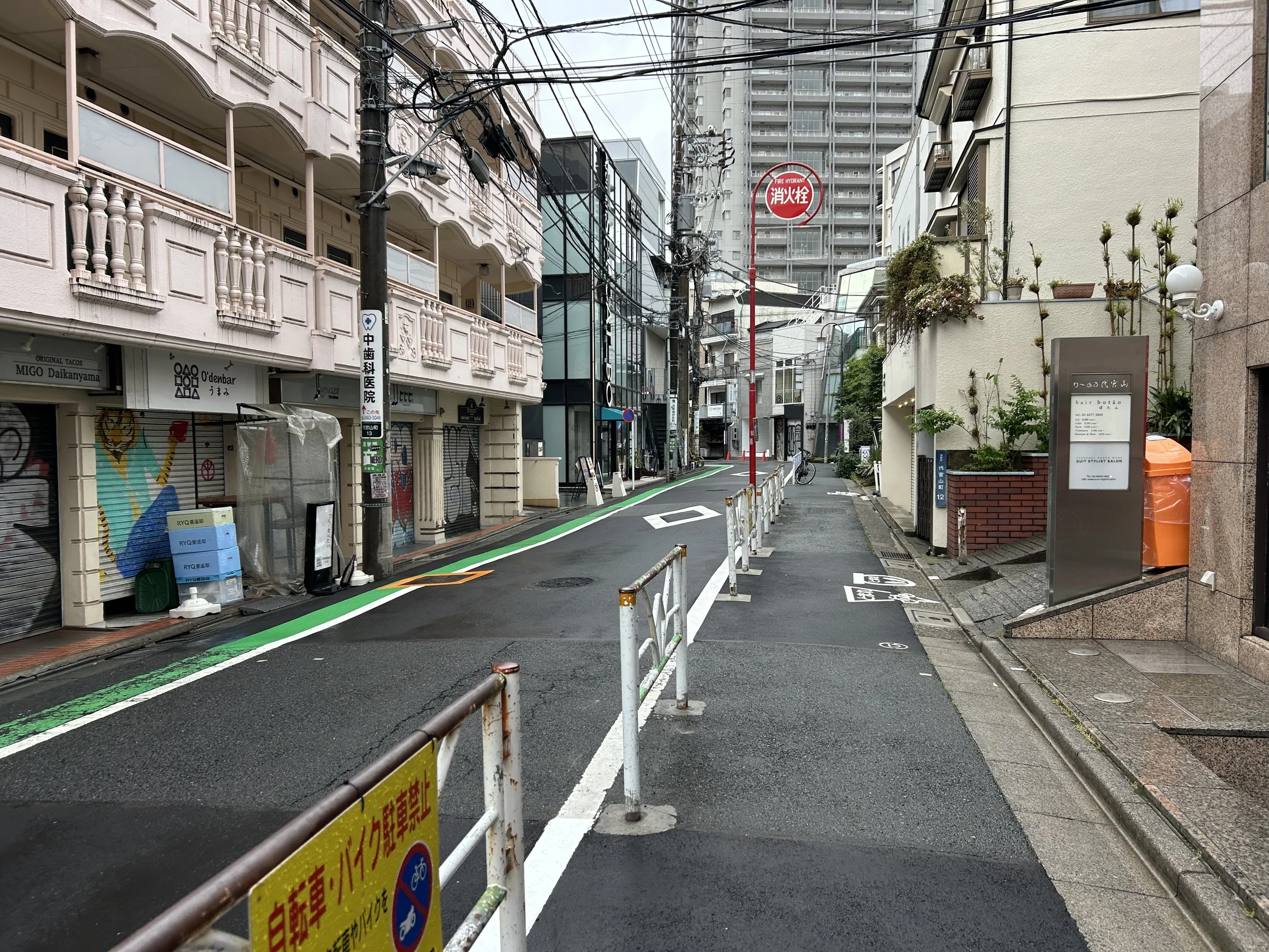 IMG_0848.jpeg